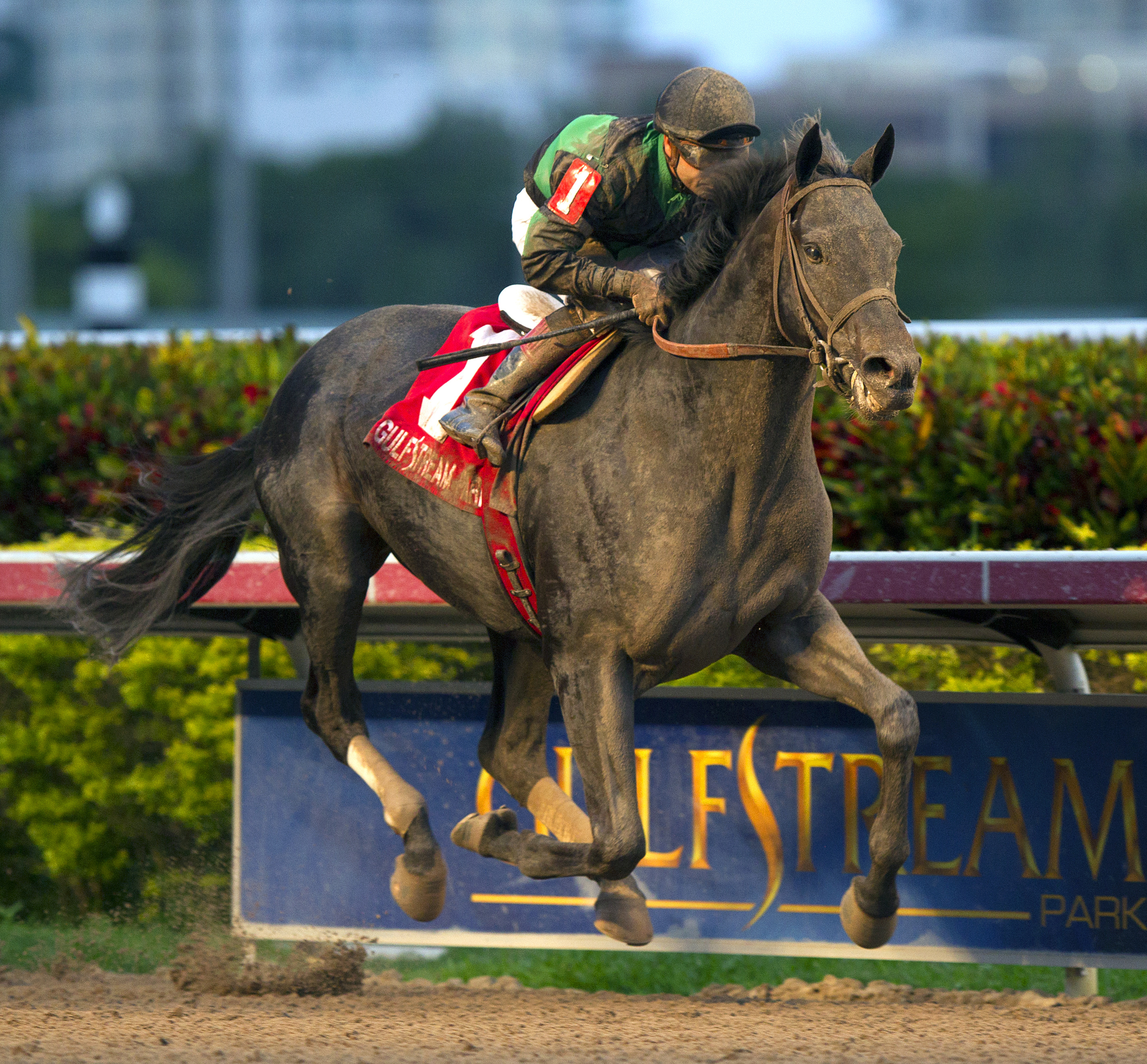 Just Call Kenny wins the Spectacular Bid