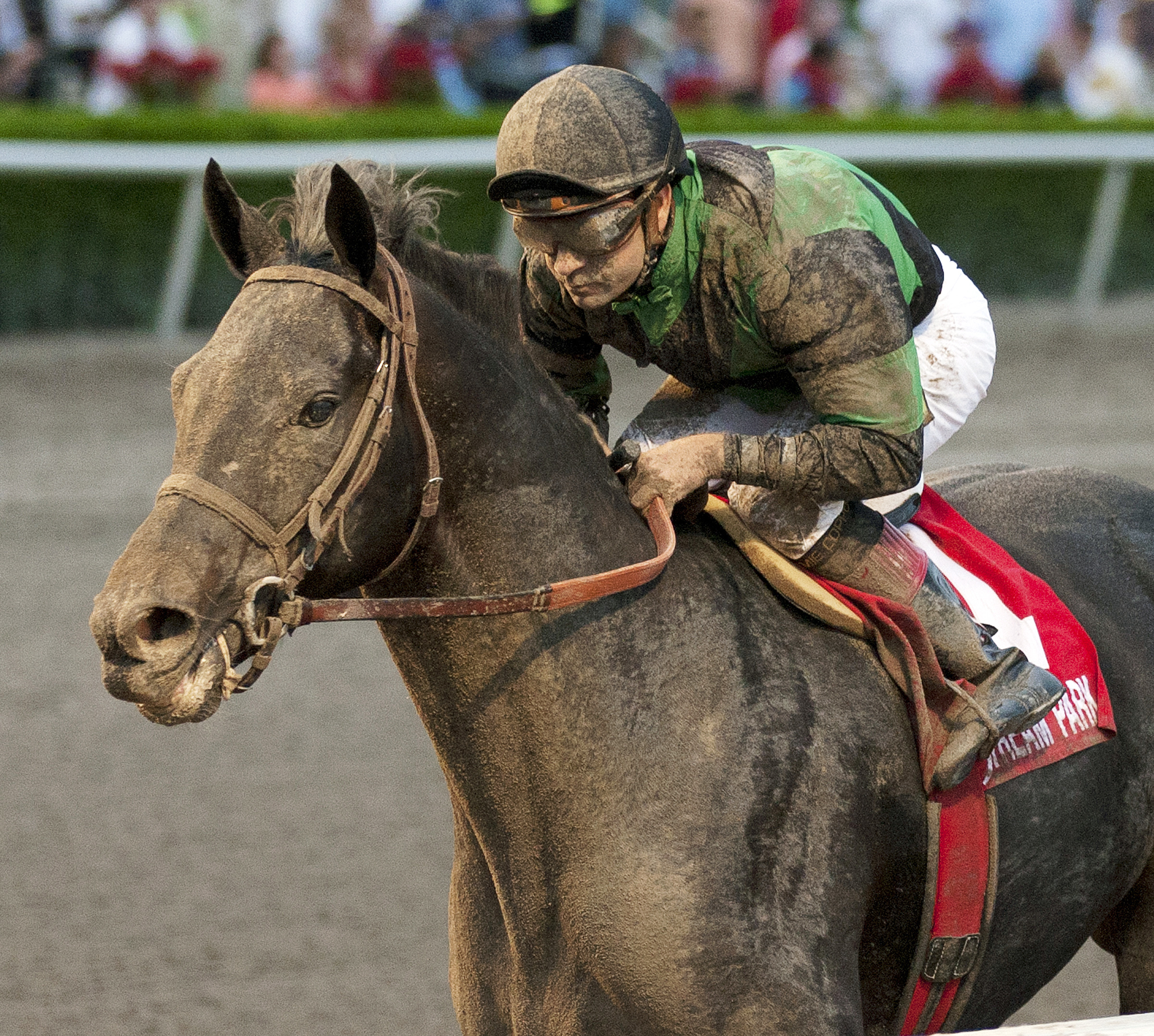 Just Call Kenny wins the 2013 Spectacular Bid
