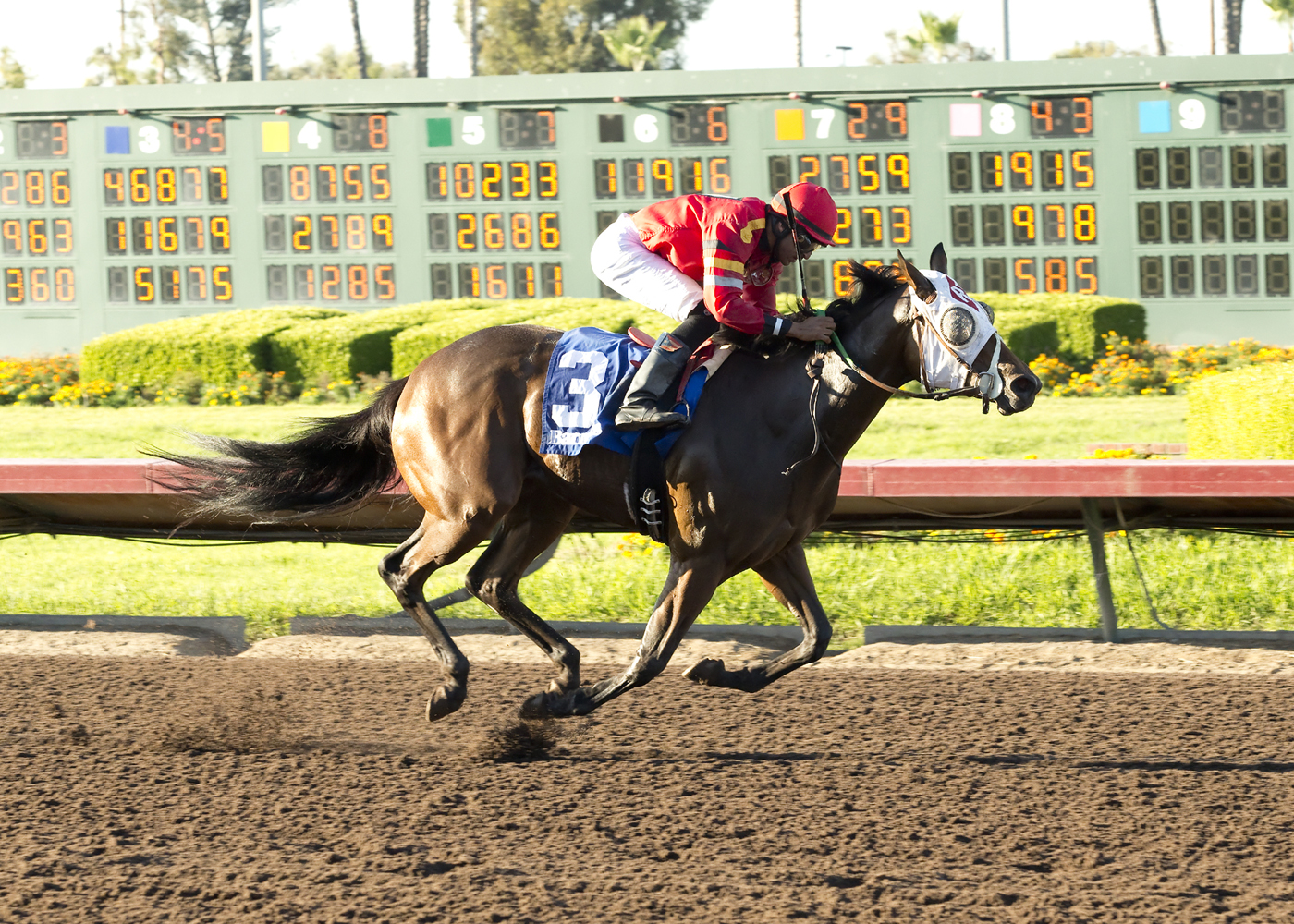 Just Google Me 9-19-2015