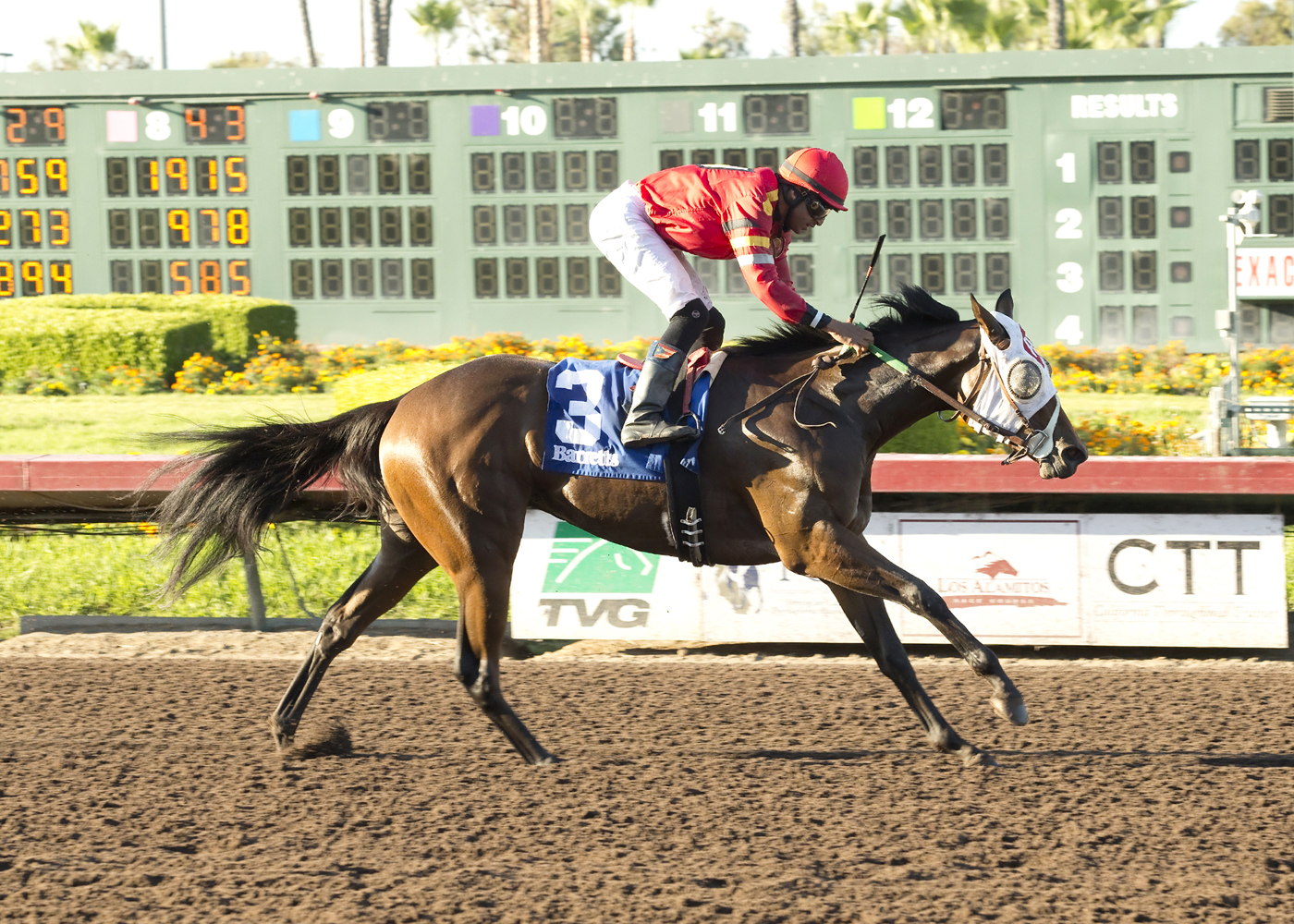 Just Google Me wins the Barretts Debutante