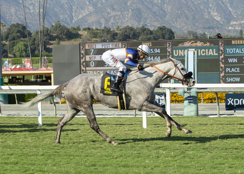 Just Grazed Me wins the 2019 California Distaff Handicap