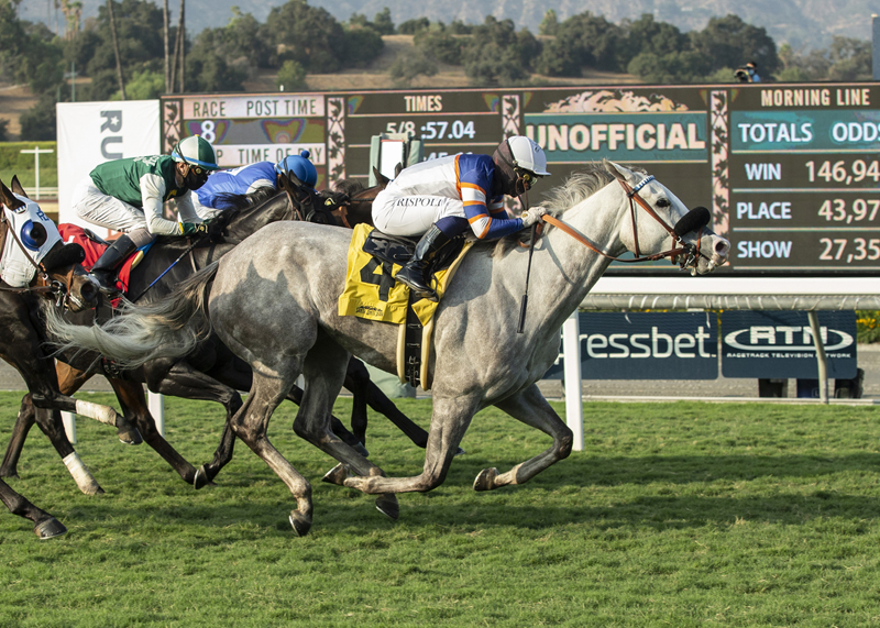 Just Grazed Me wins California Distaff 10-10-2020