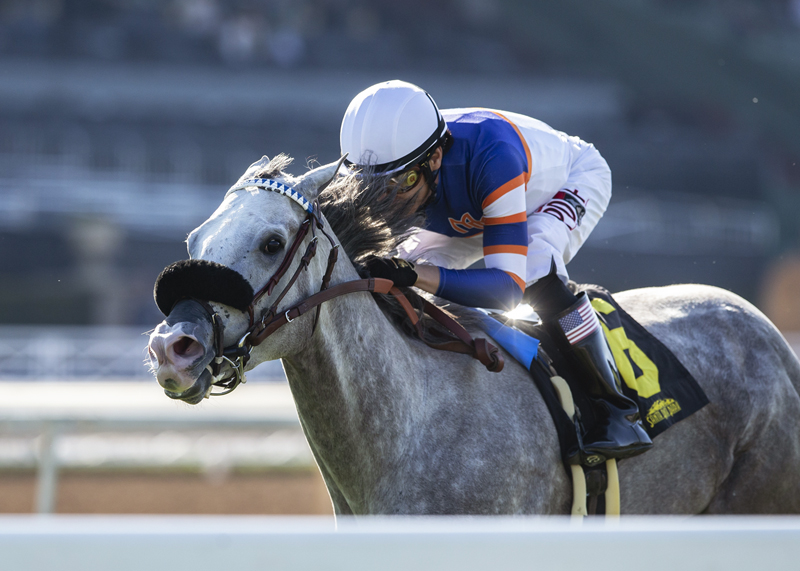 Just Grazed Me wins the 2019 California Distaff Handicap
