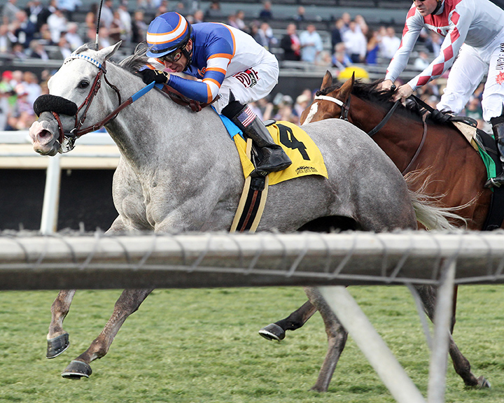 Just Grazed Me wins the 2019 Sen. Ken Maddy Stakes at Santa Anita Park