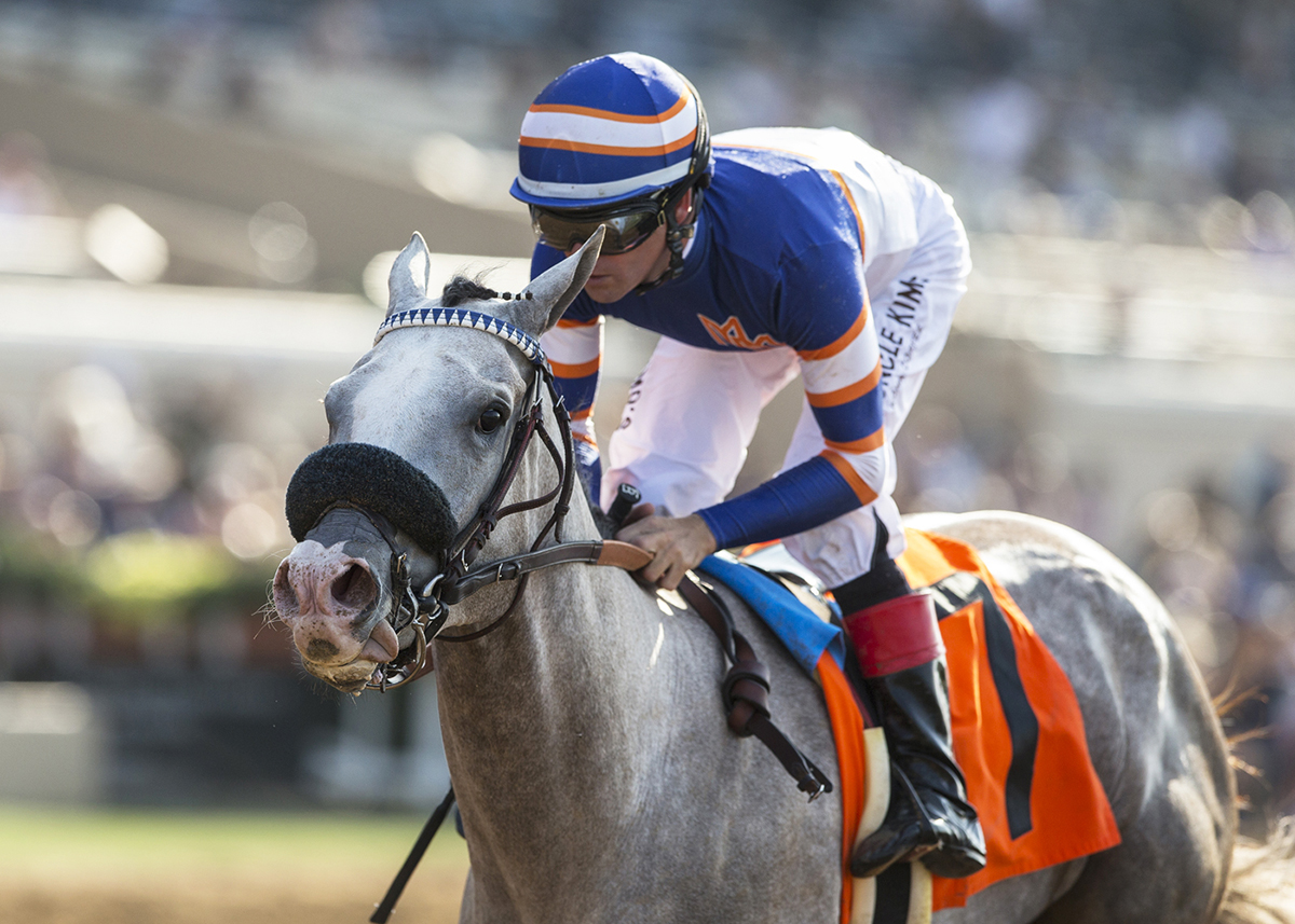 Just Grazed Me wins the 2018 Fleet Treat Stakes