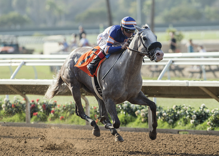 Just Grazed Me wins the 2018 Fleet Treat Stakes