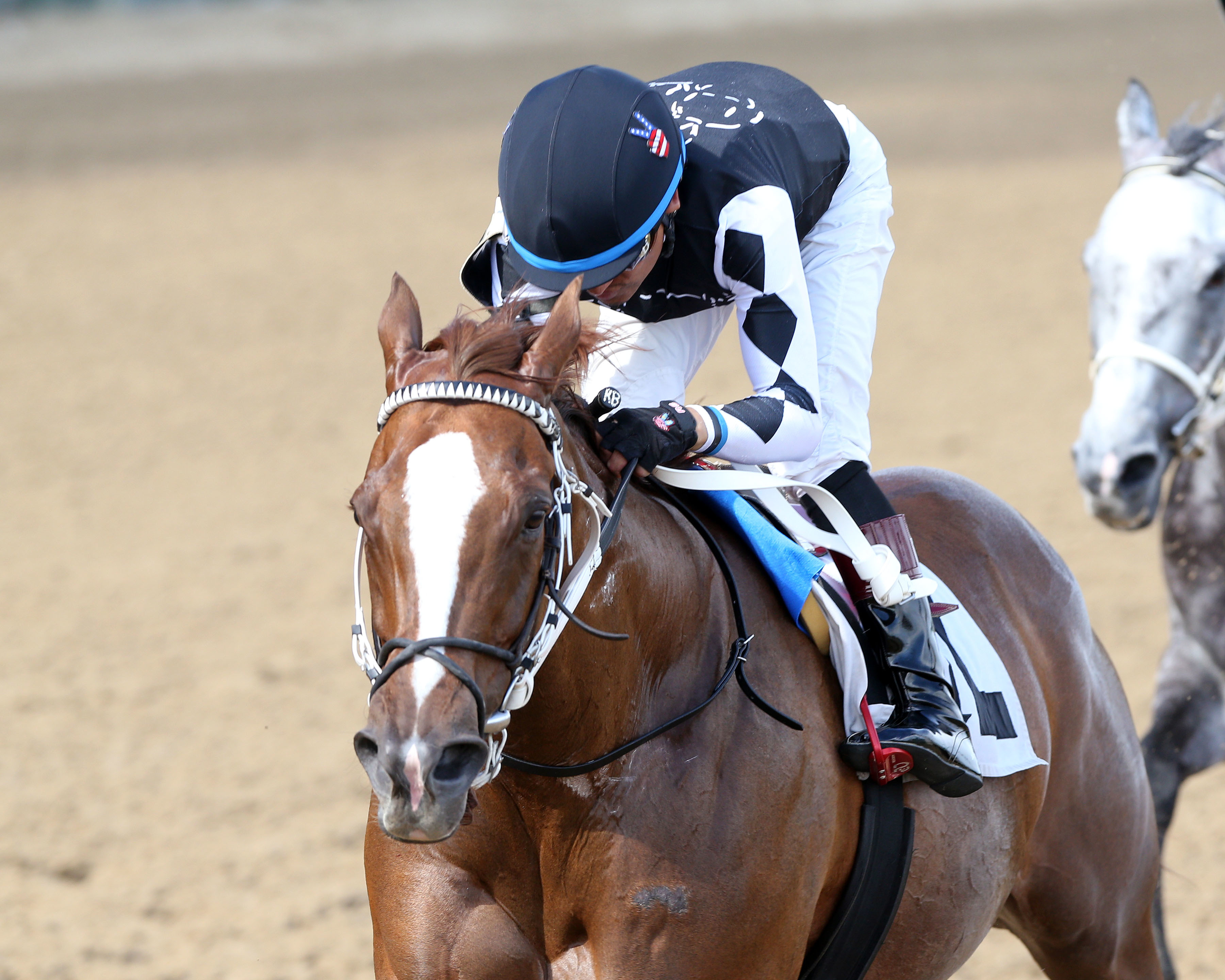 Just Might wins the Mighty Beau at Churchill on June 11 2022