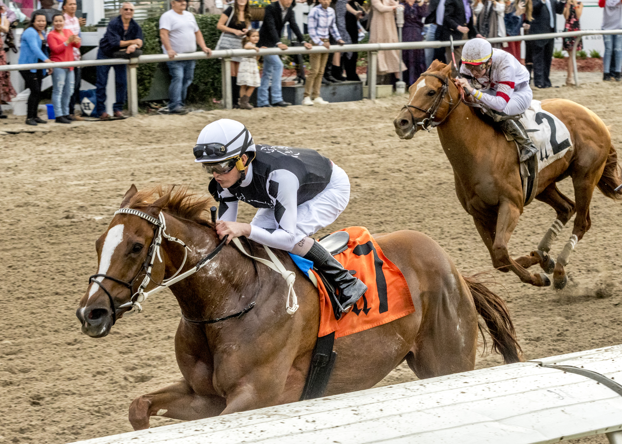 Just Might wins the Thanksgiving Day Classic