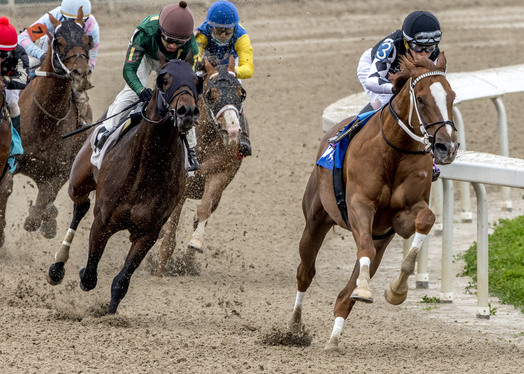 Just Might wins the Colonel Power Stakes.2-13-2021