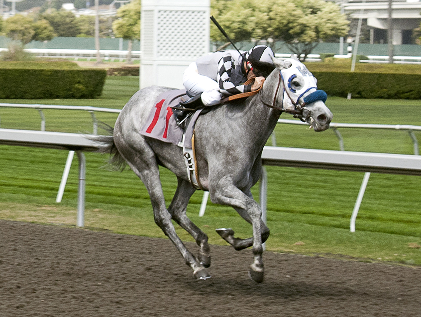 Just Tappin It/Hollendorfer 6,000