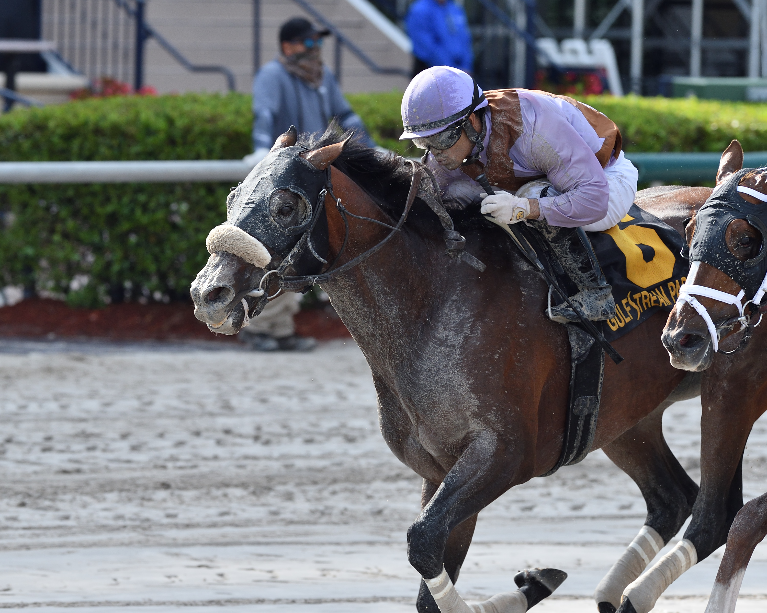 Just Whistle/Sunday Silence Stakes