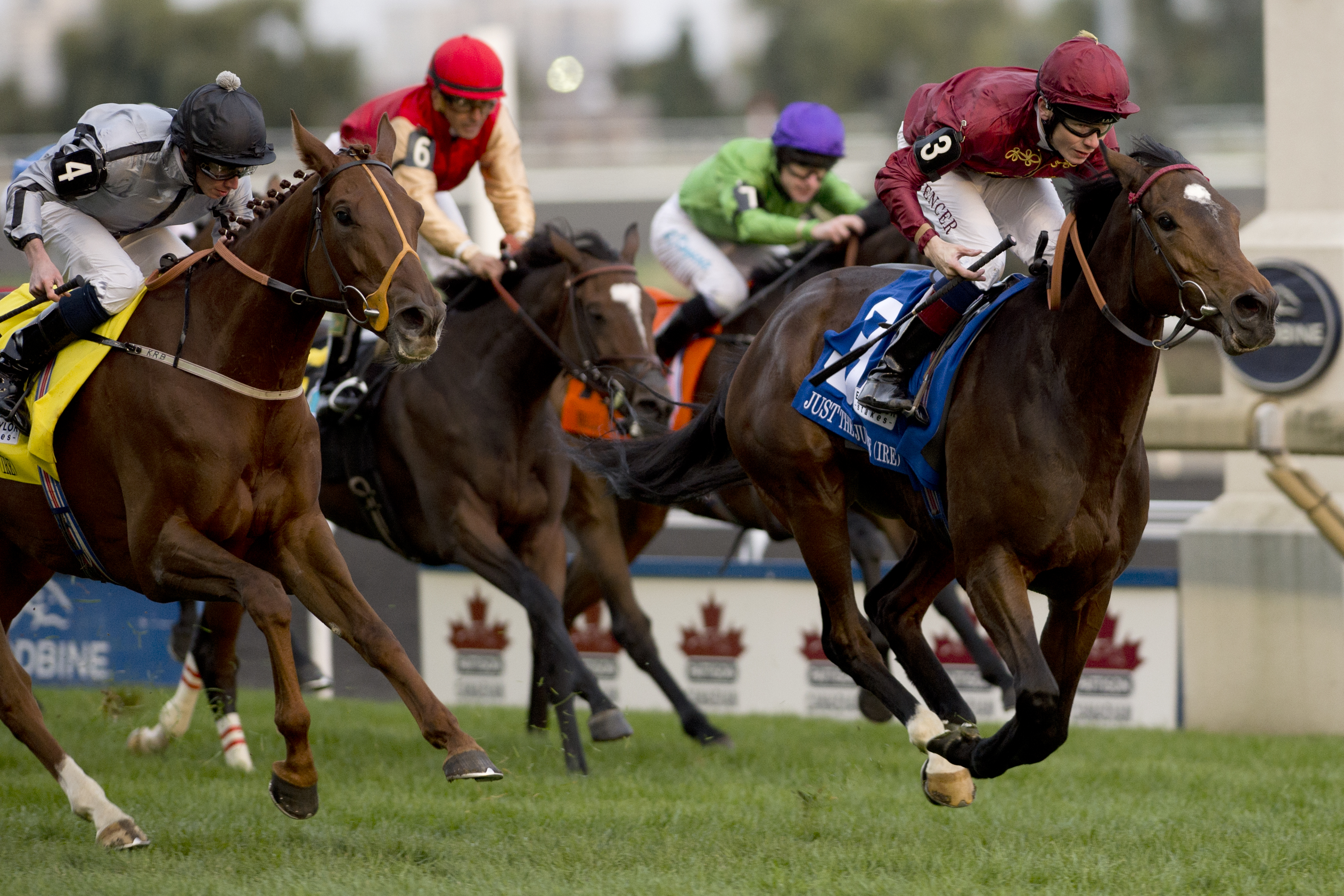 Just The Judge 10-19-2014