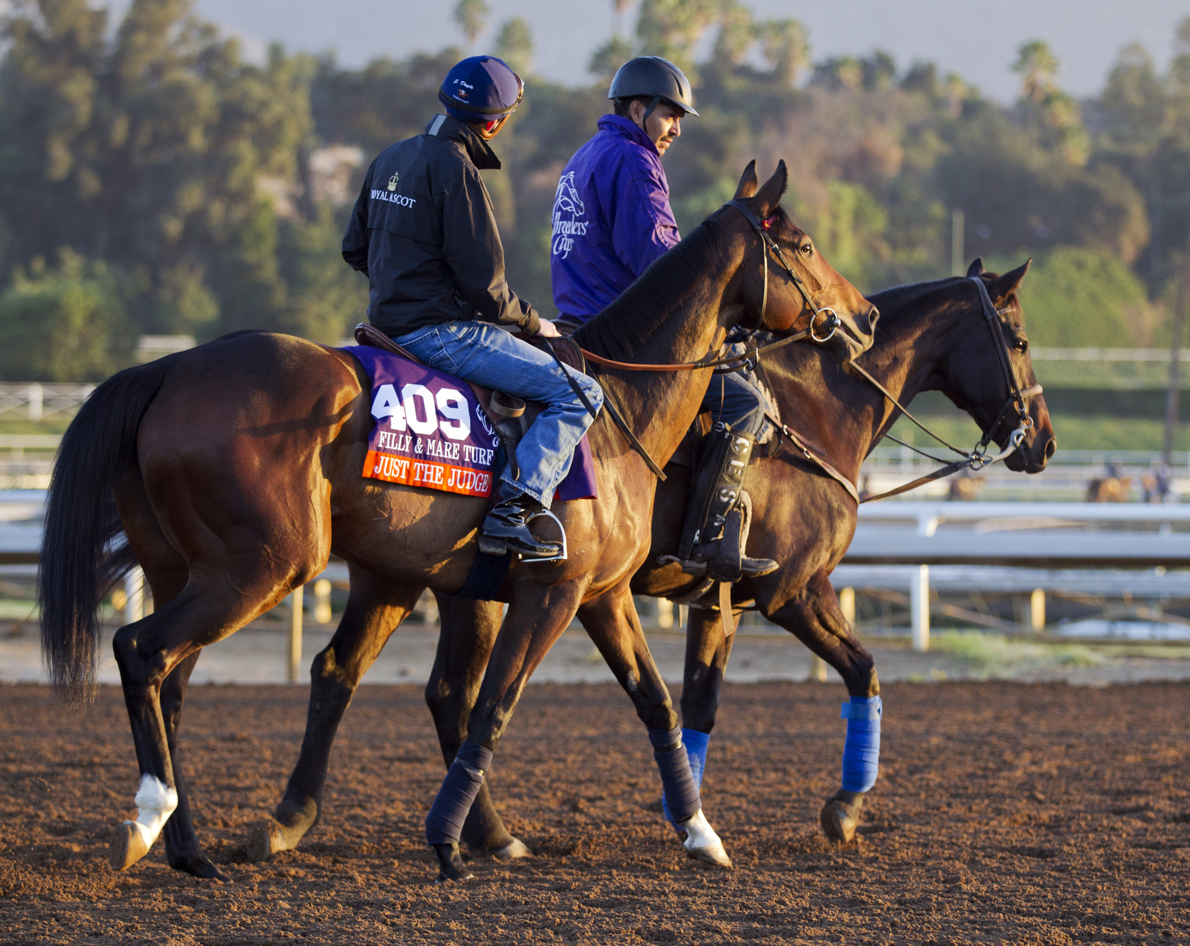 Just the Judge at Santa Anita on Oct. 28