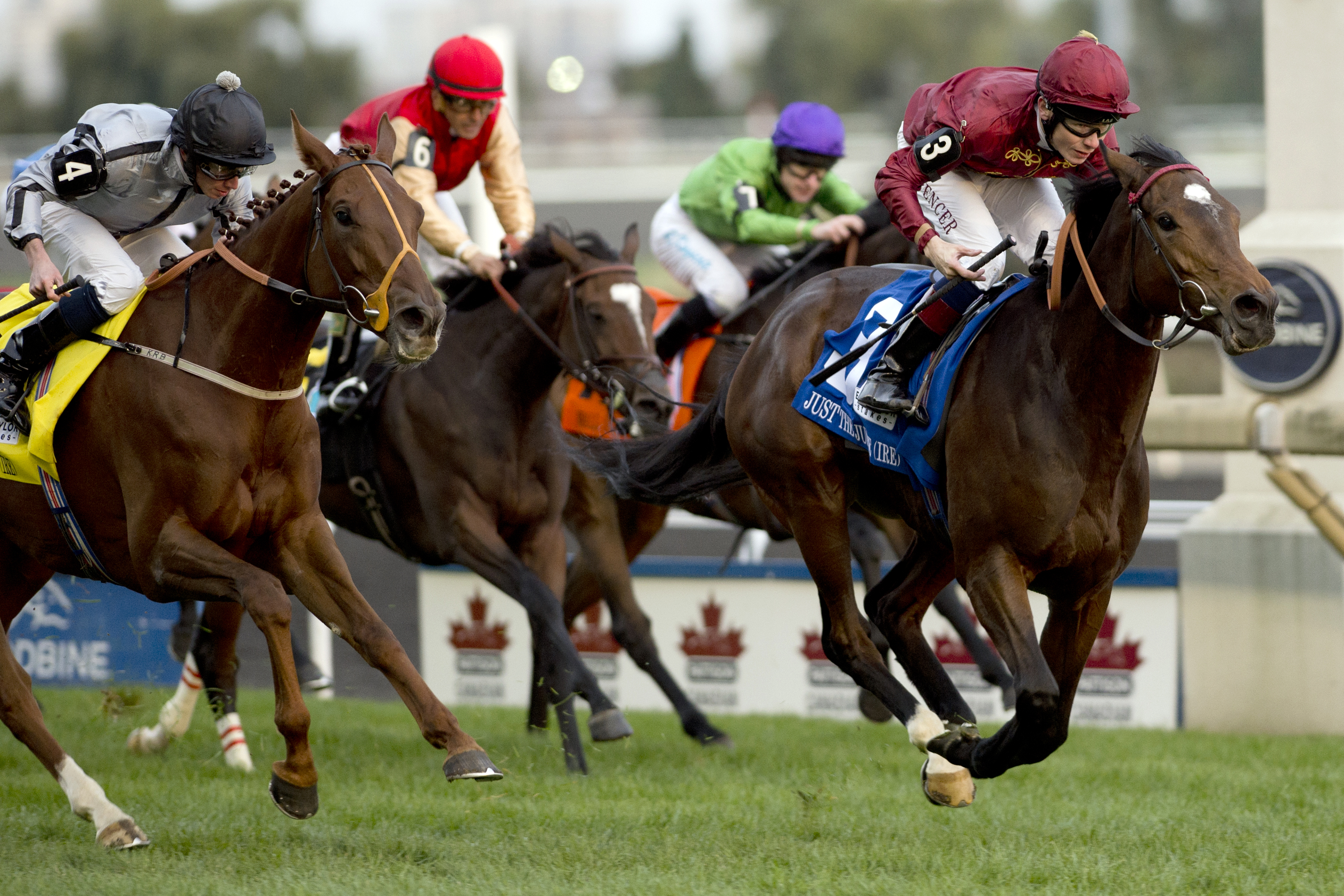 Just the Judge wins the E. P. Taylor Stakes