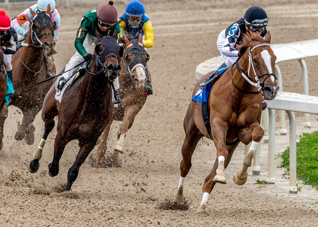 Just Might wins the 2021 Colonel Power Stakes at Fair Grounds