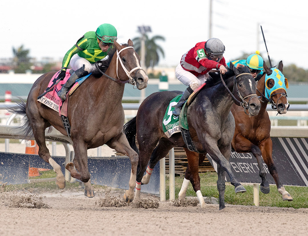 Four Graces (5) finishes second in the Inside Information Stakes at Gulfstream Park