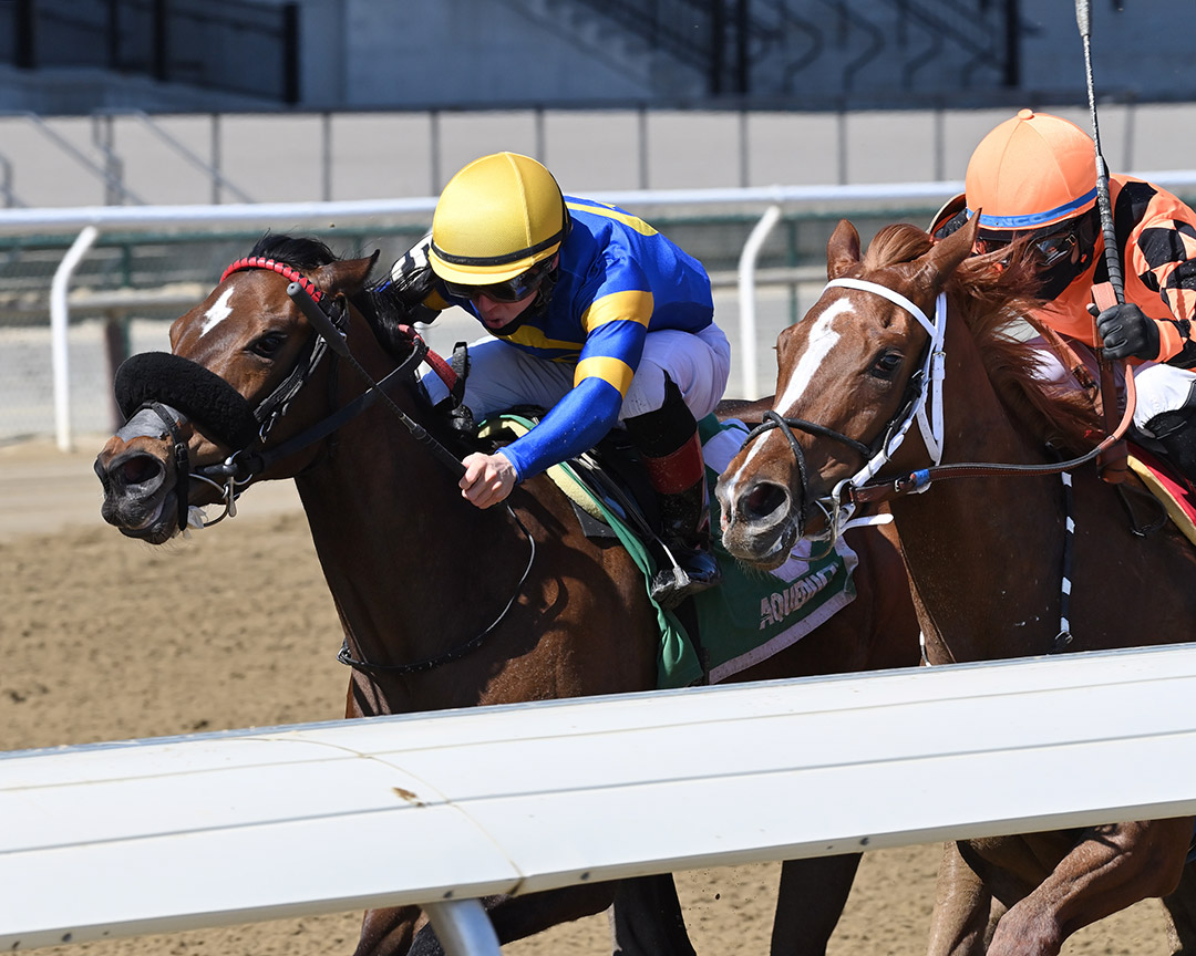 Just Read It (left) wins the 2021 Cicada Stakes at Aqueduct