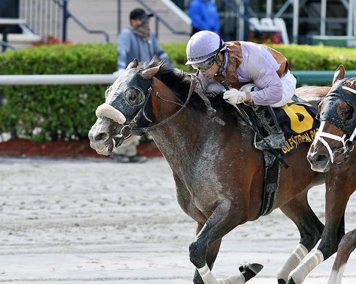 Just Whistle wins the 2020 Sunday Silence Stakes at Gulfstream Park