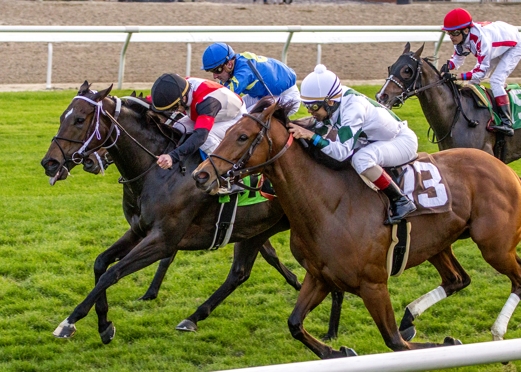 Justa Lady (black cap) wins the 2018 Scherer Memorial