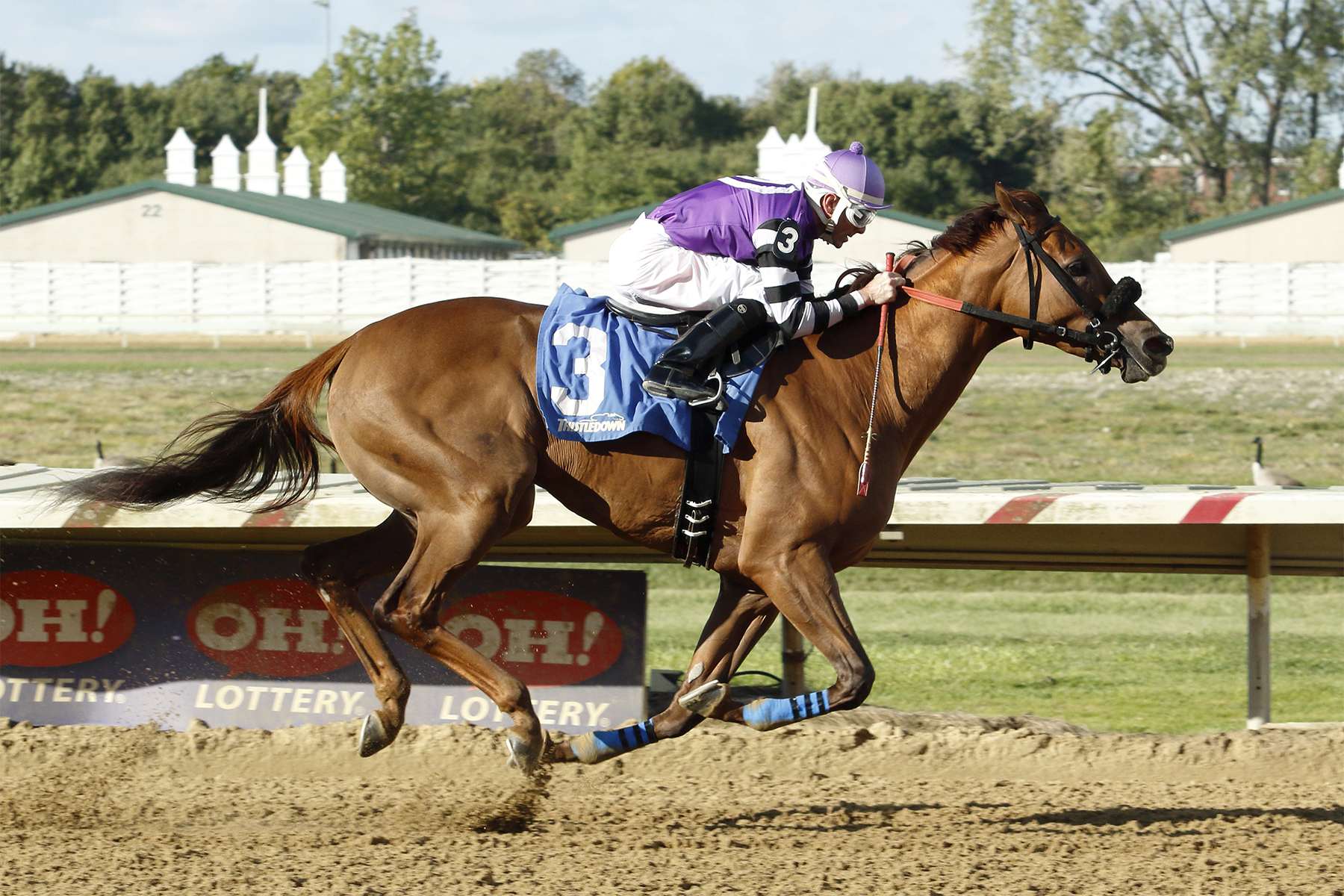 Justalittlesmoke wins the Diana Stakes