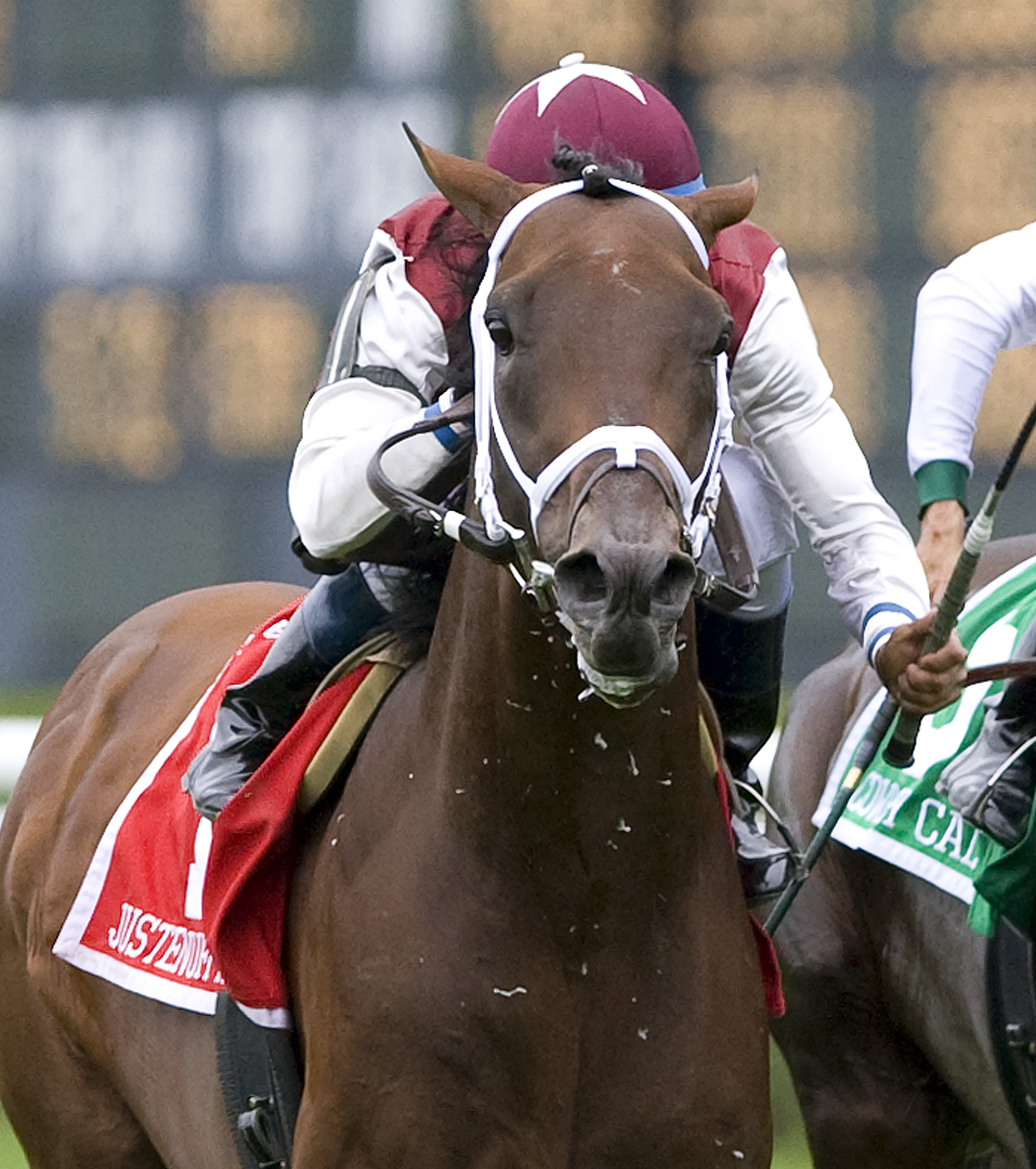 Vinery Stud will take over Empire Stud in New York