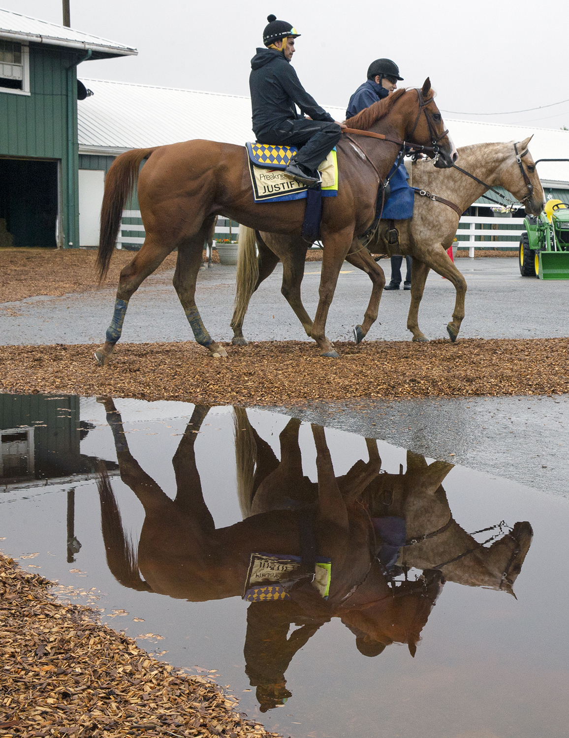 Justify at Pimlico on May 17