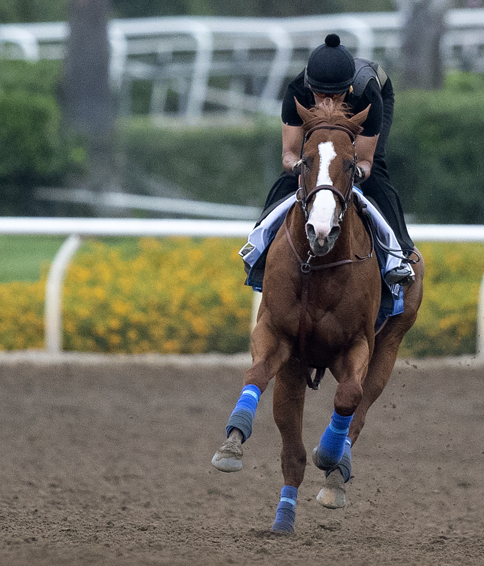 Justify