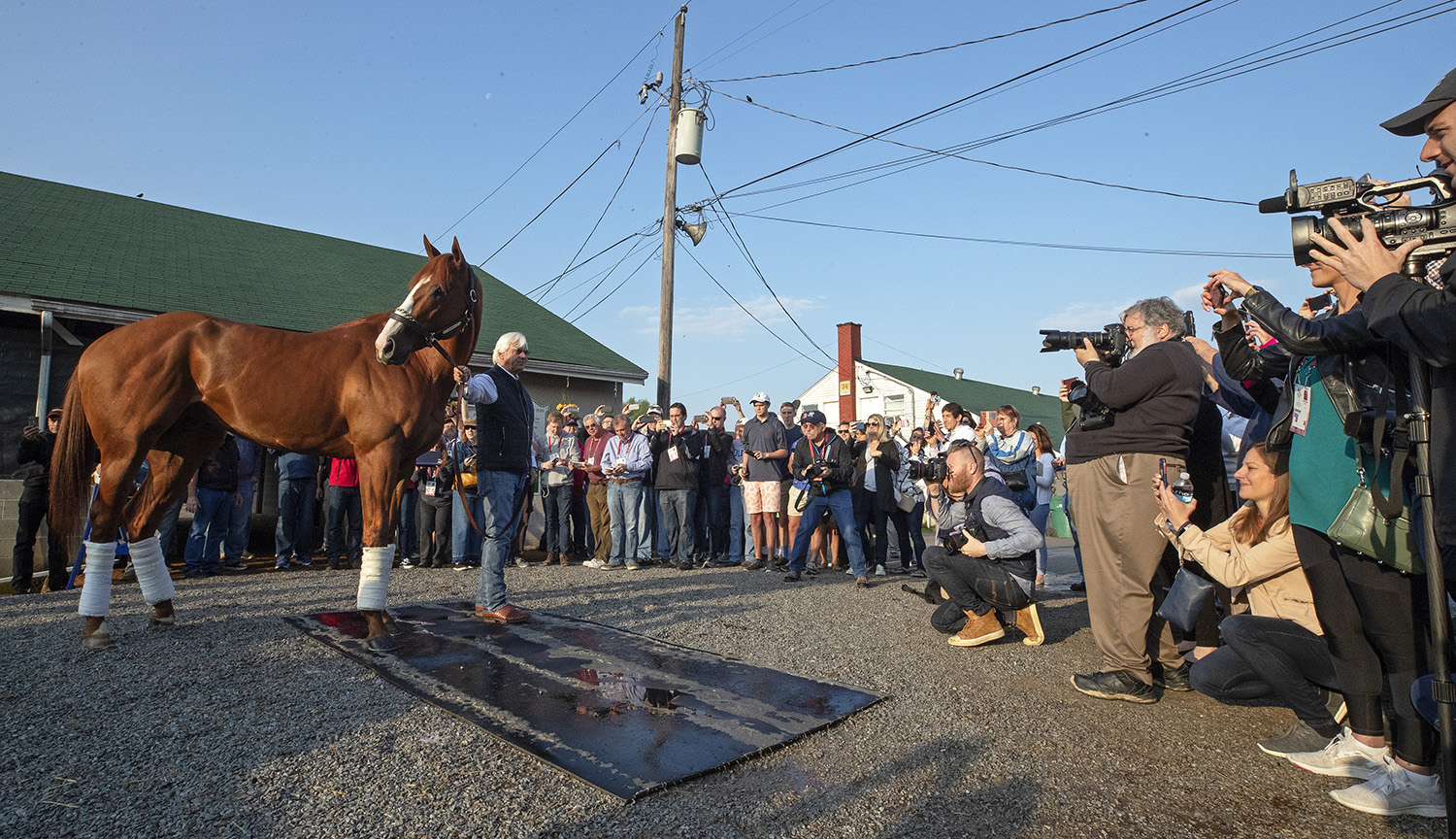 Justify and trainer Bob Baffert morning after Kentucky Derby