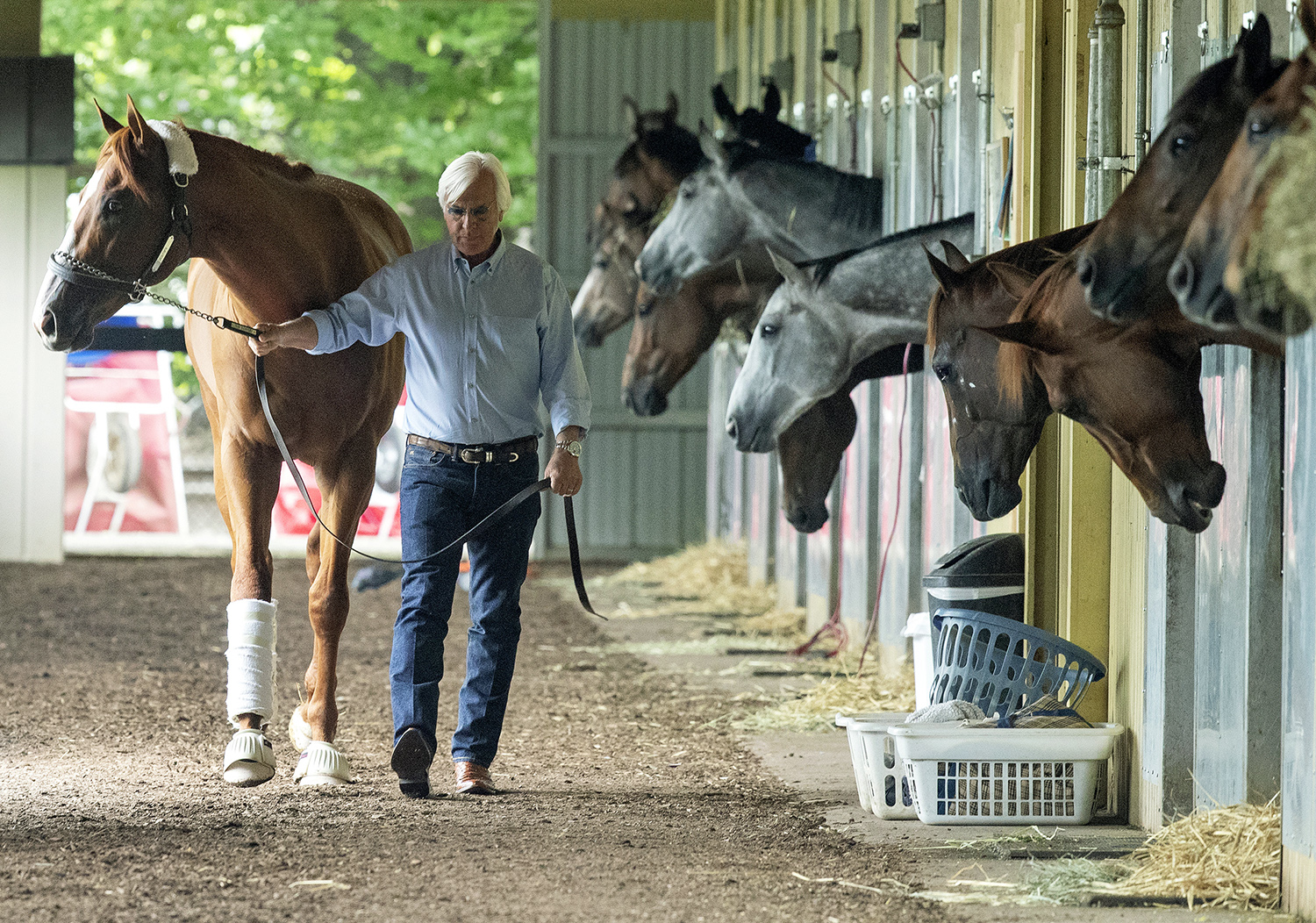 Justify and Bob Baffert in the shedrow at Belmont
