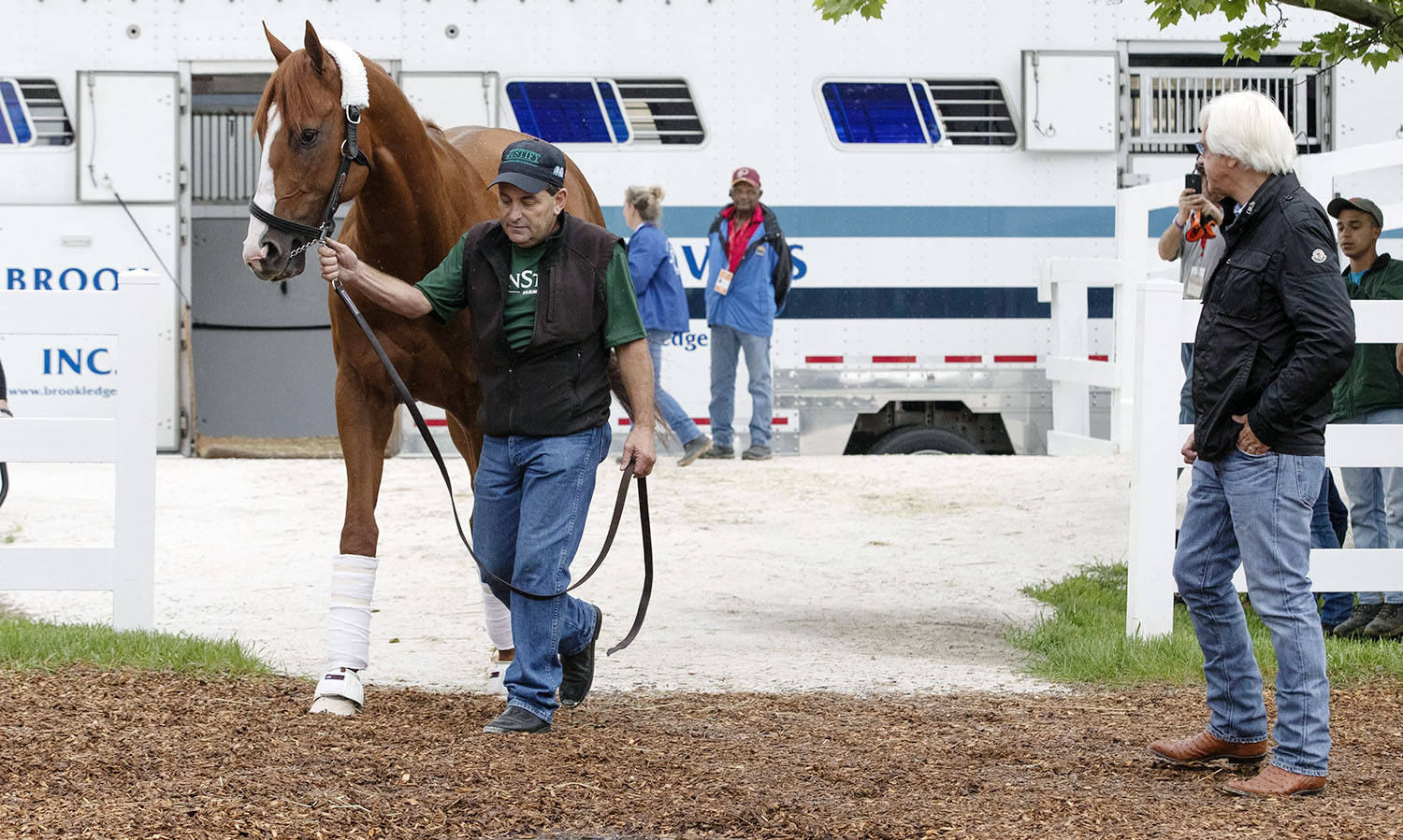 Justify arrives at Pimlico