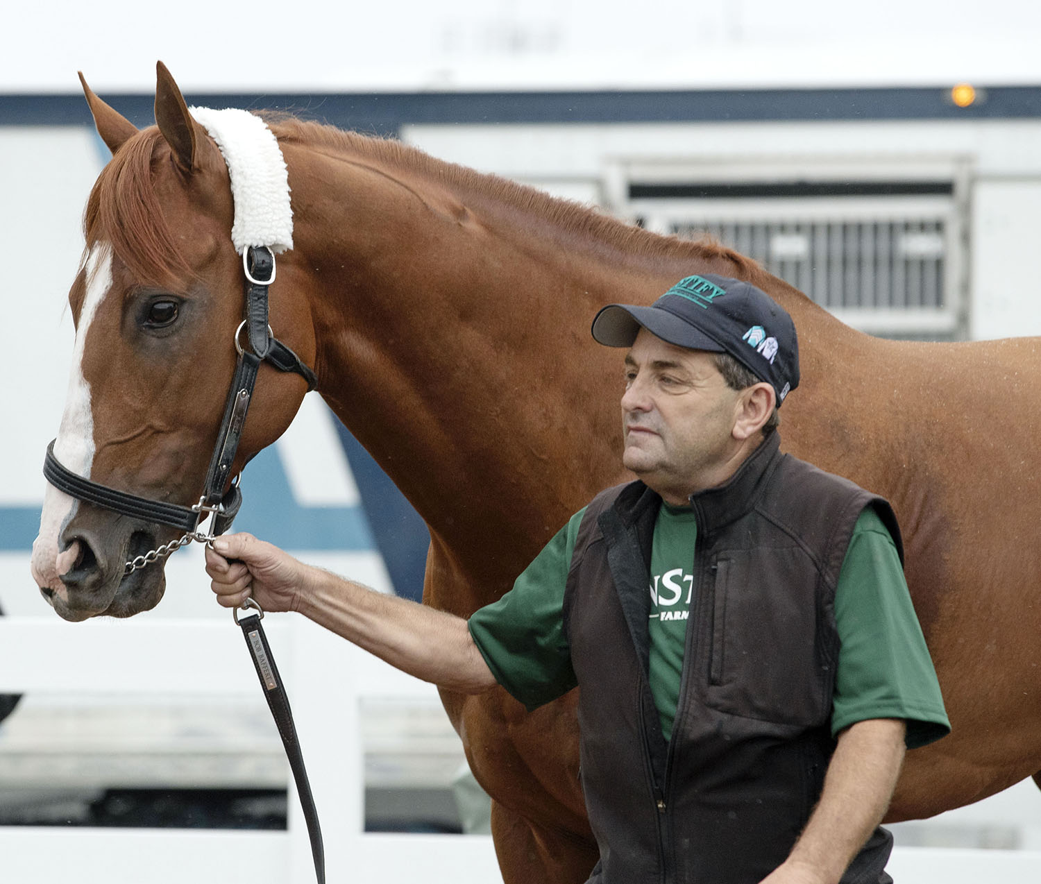 Justify with Jimmy Barnes at Pimlico