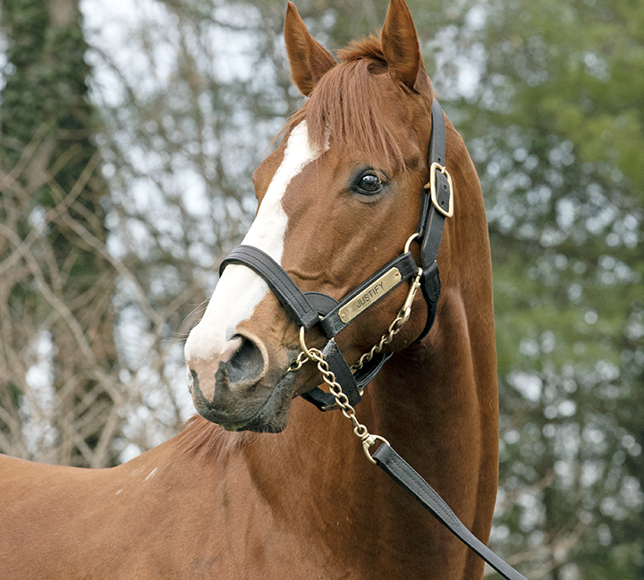 Justify portrait 2019