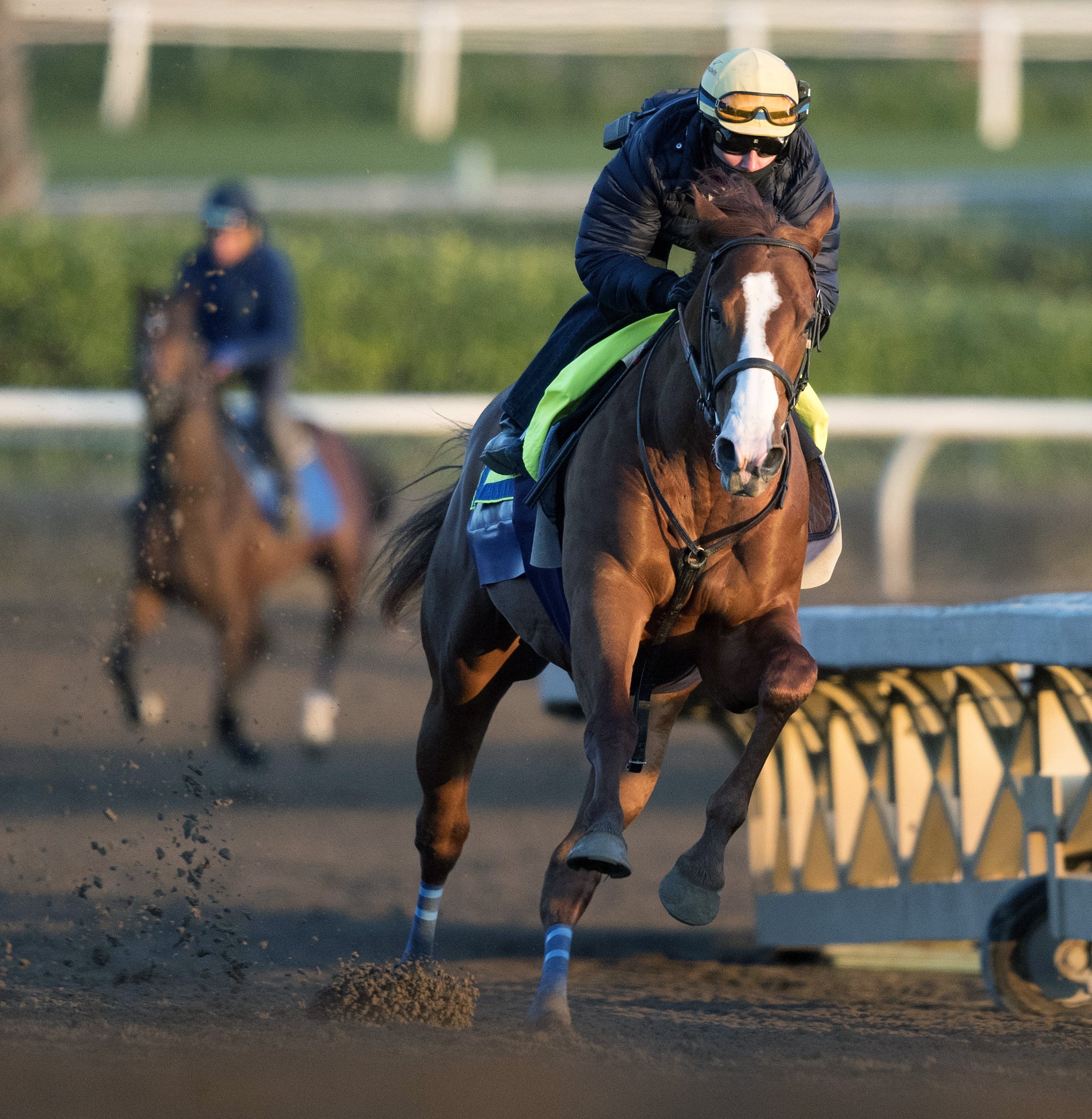 Justify trains at Santa Anita on Feb. 26