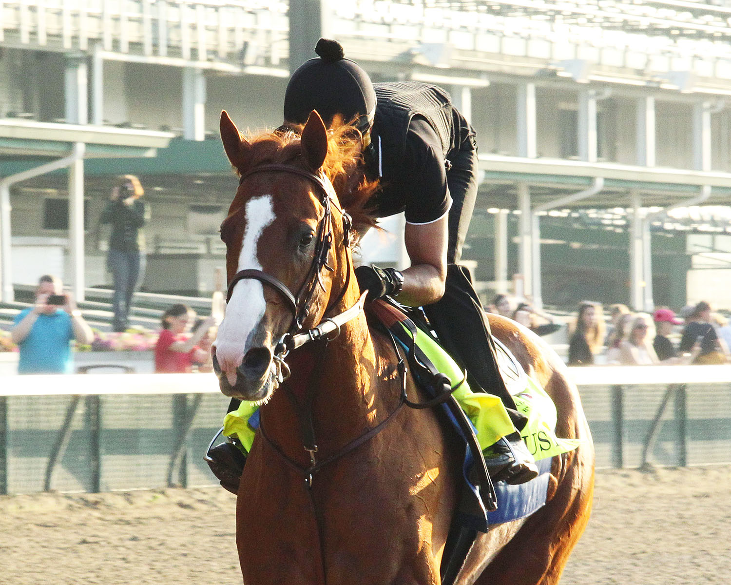 Justify gallops at Churchill on May 28