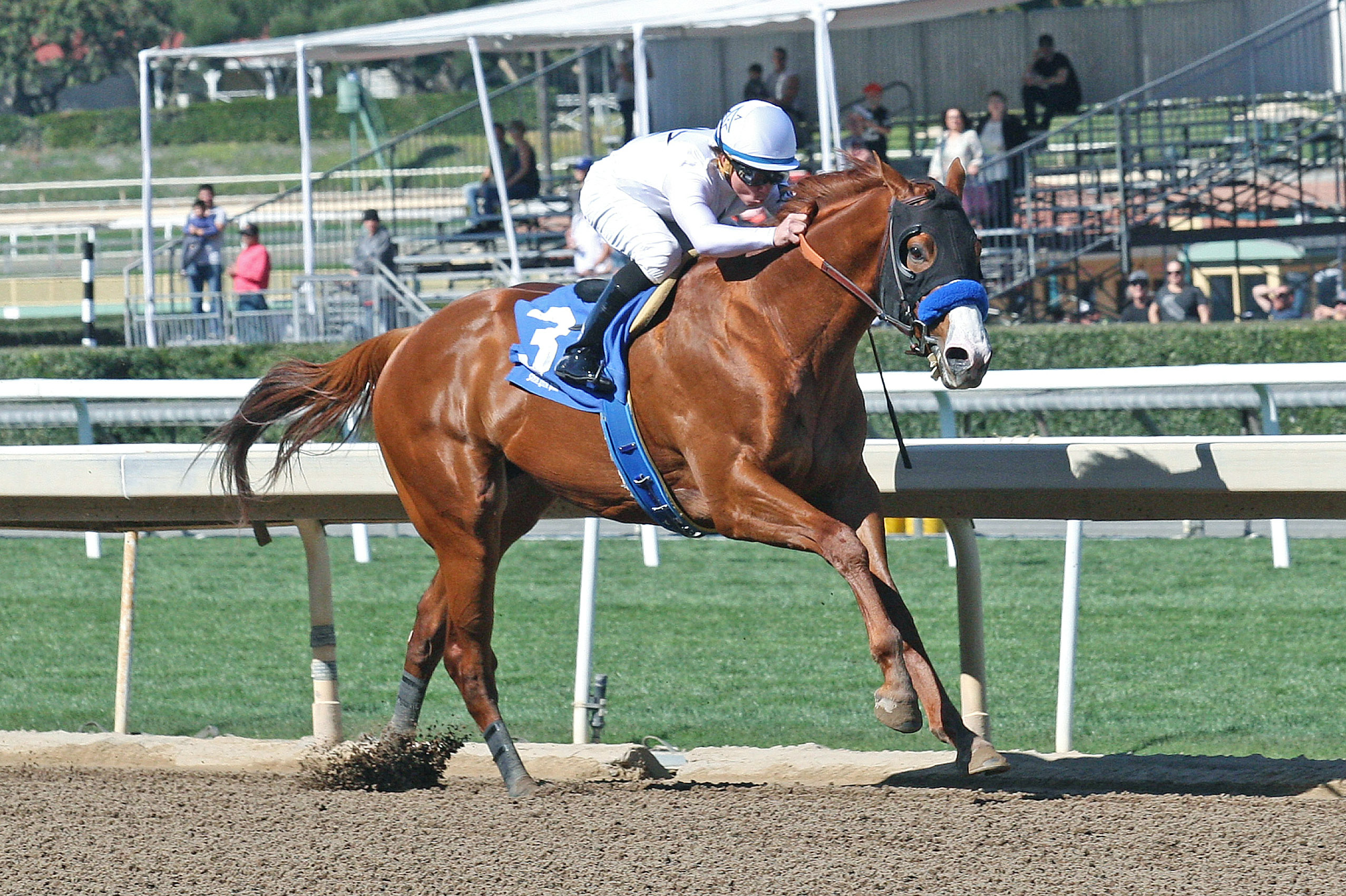 Justify wins a Feb. 18 maiden race at Santa Anita