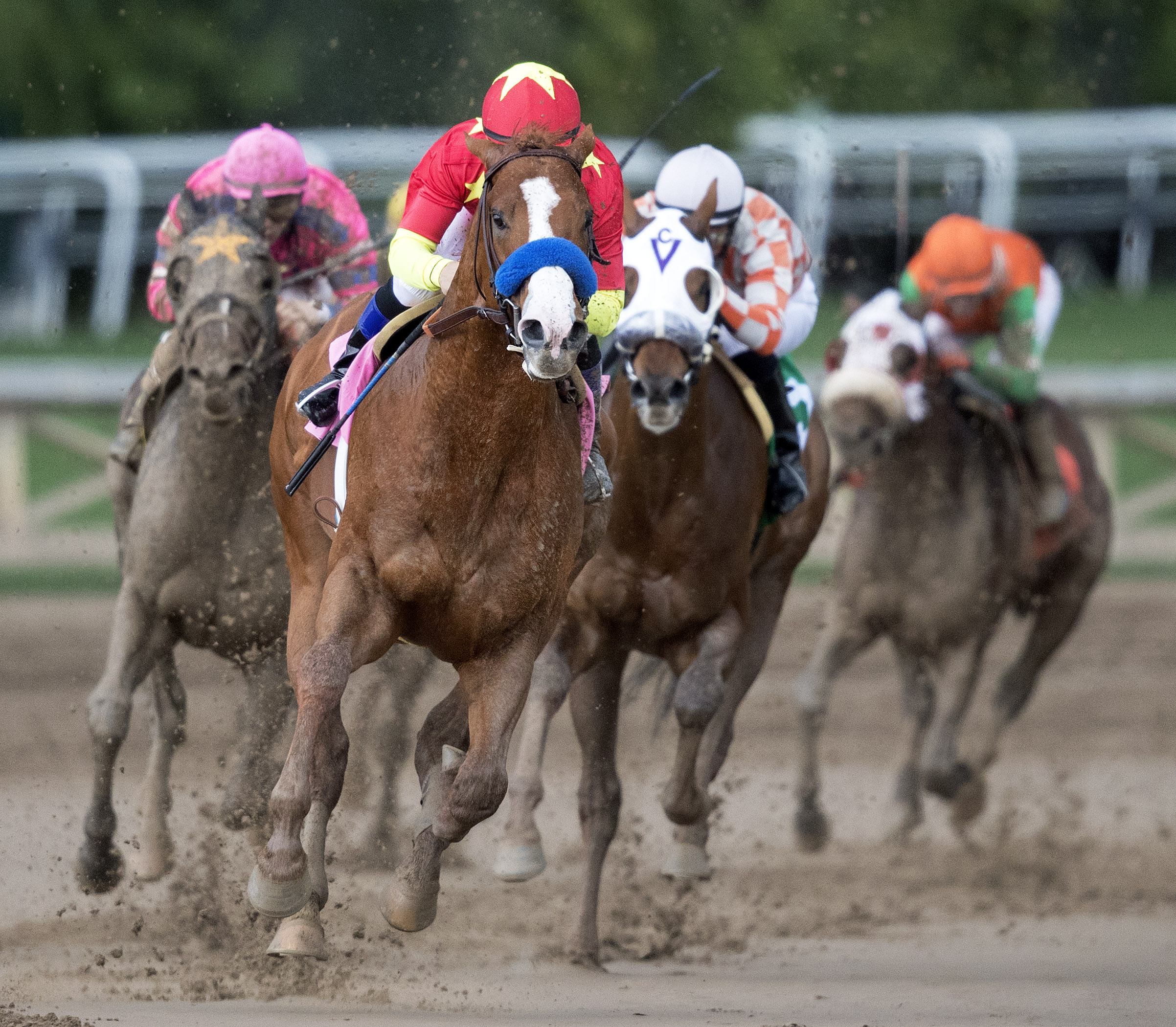 Justify wins allowance 03.11.18