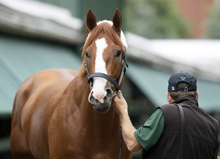 Justify - portrait