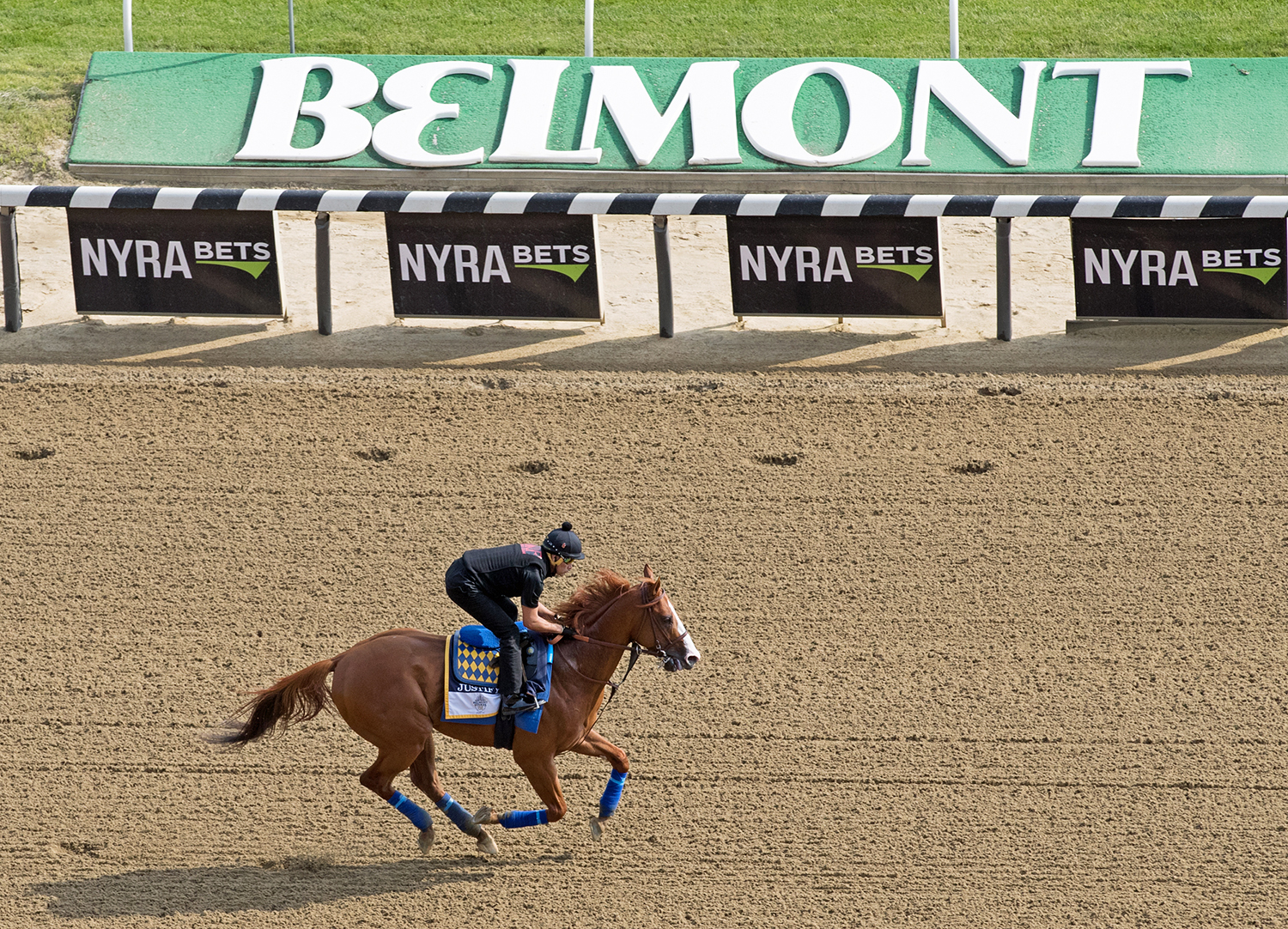 Justify trains at Belmont on June 8