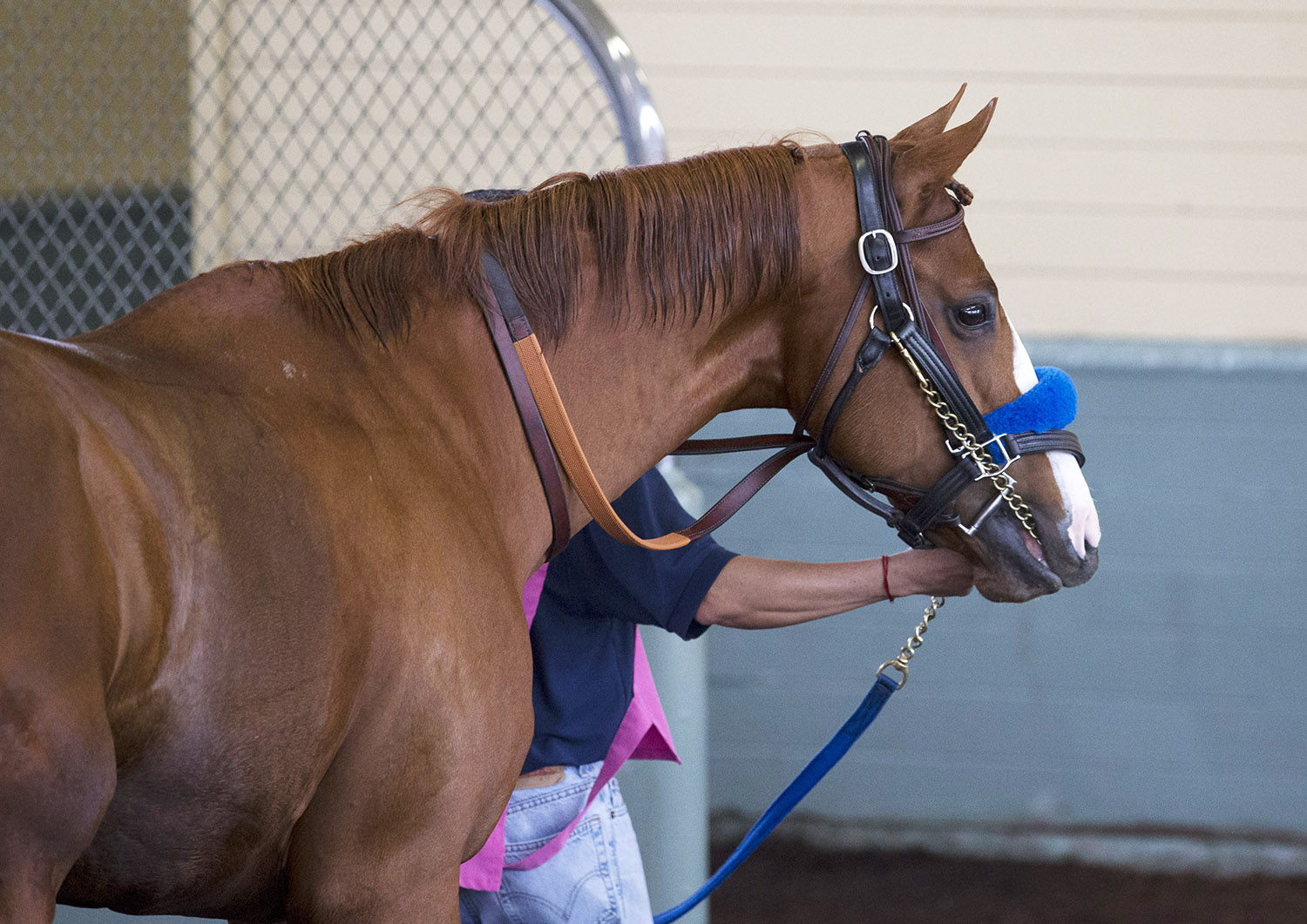 Justify at Santa Anita on March 11