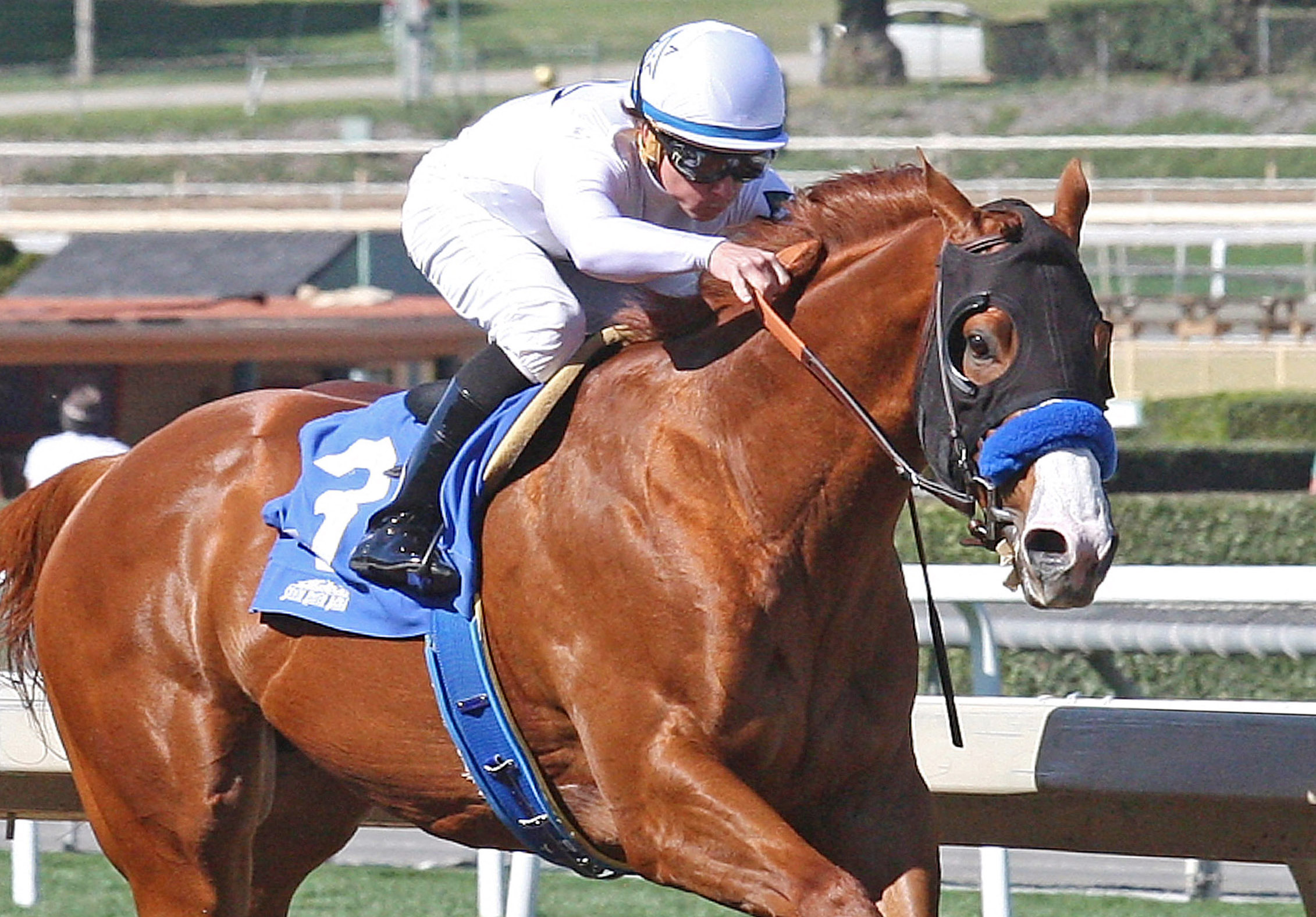 Justify wins a Feb. 18 maiden race at Santa Anita