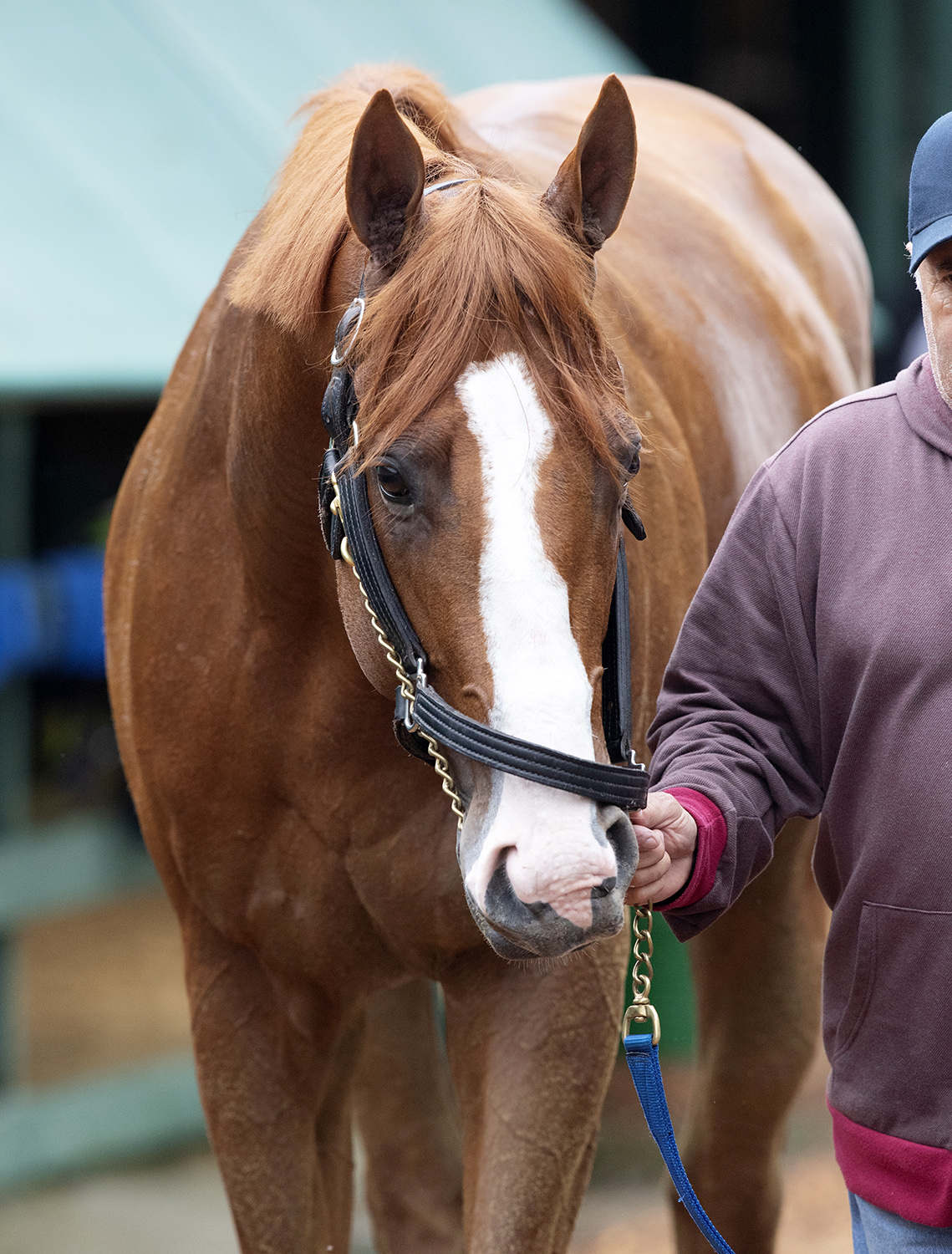 Justify on May 17