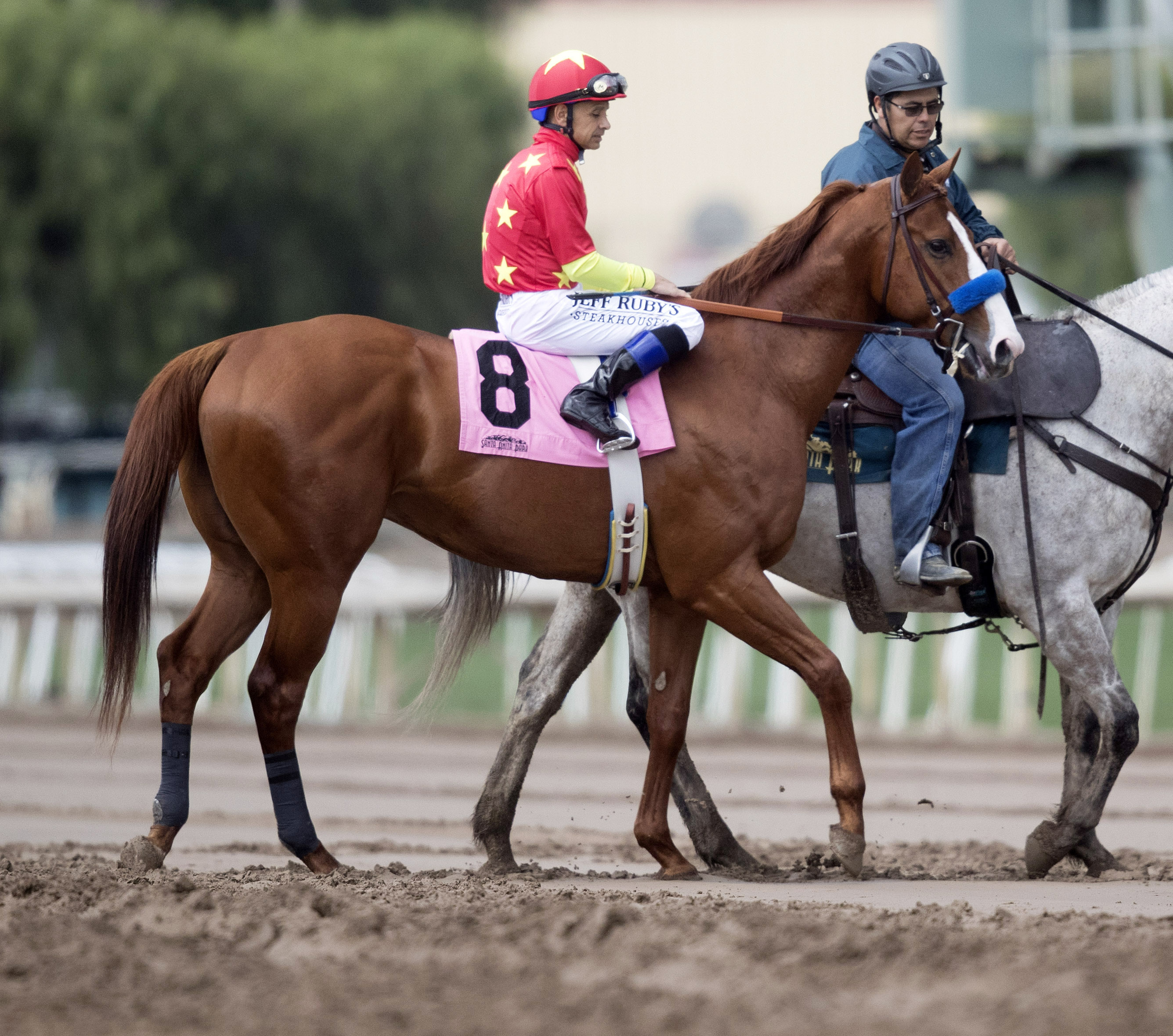 Justify at a Santa Anita allowance race