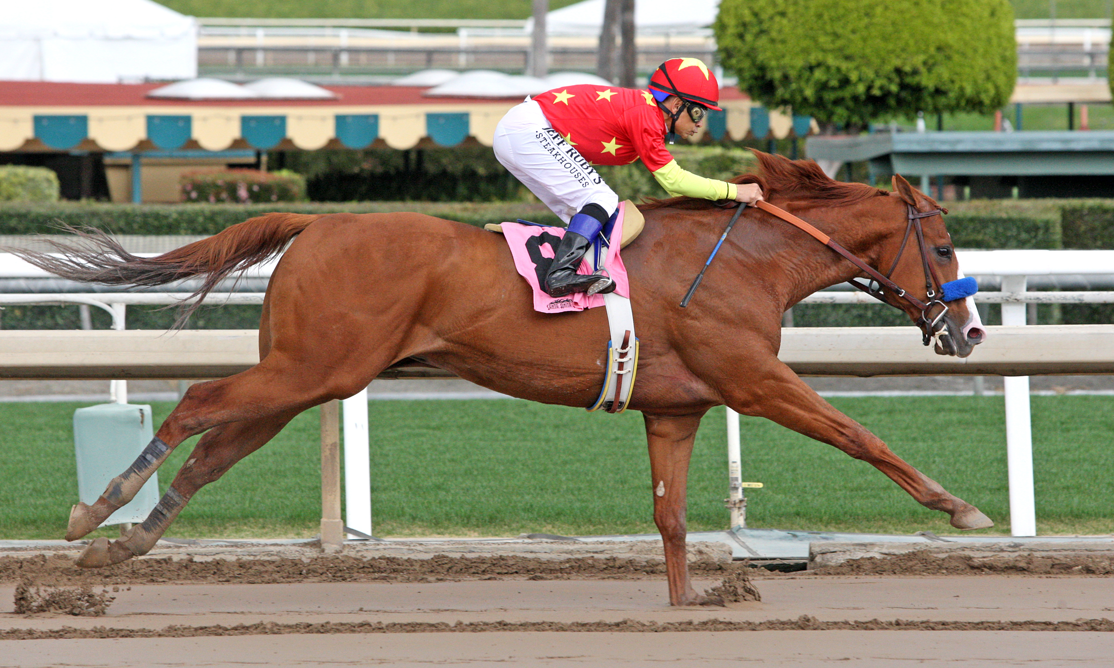 Justify in allowance 03.11.18