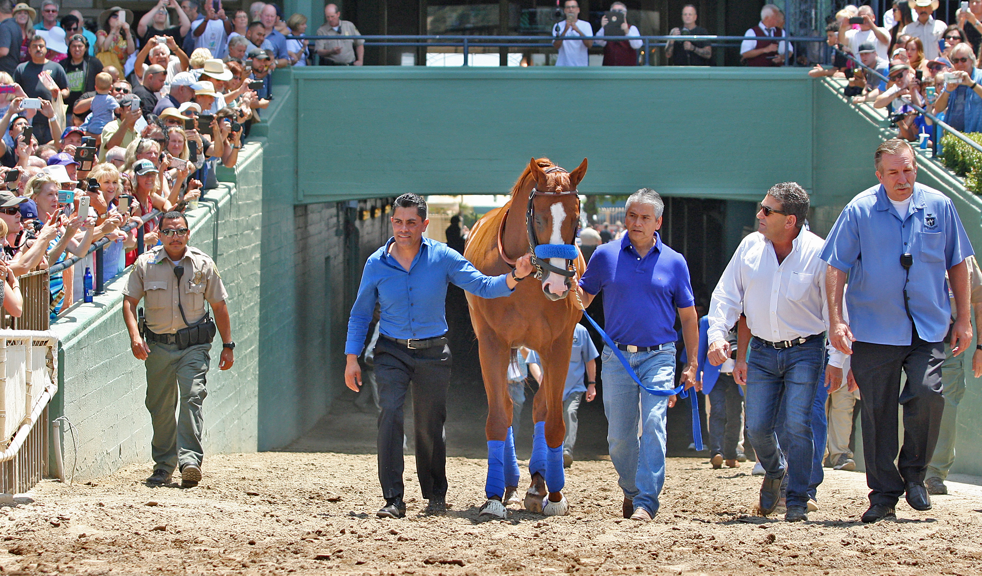 Justify is paraded at Santa Anita on June 23, 2018