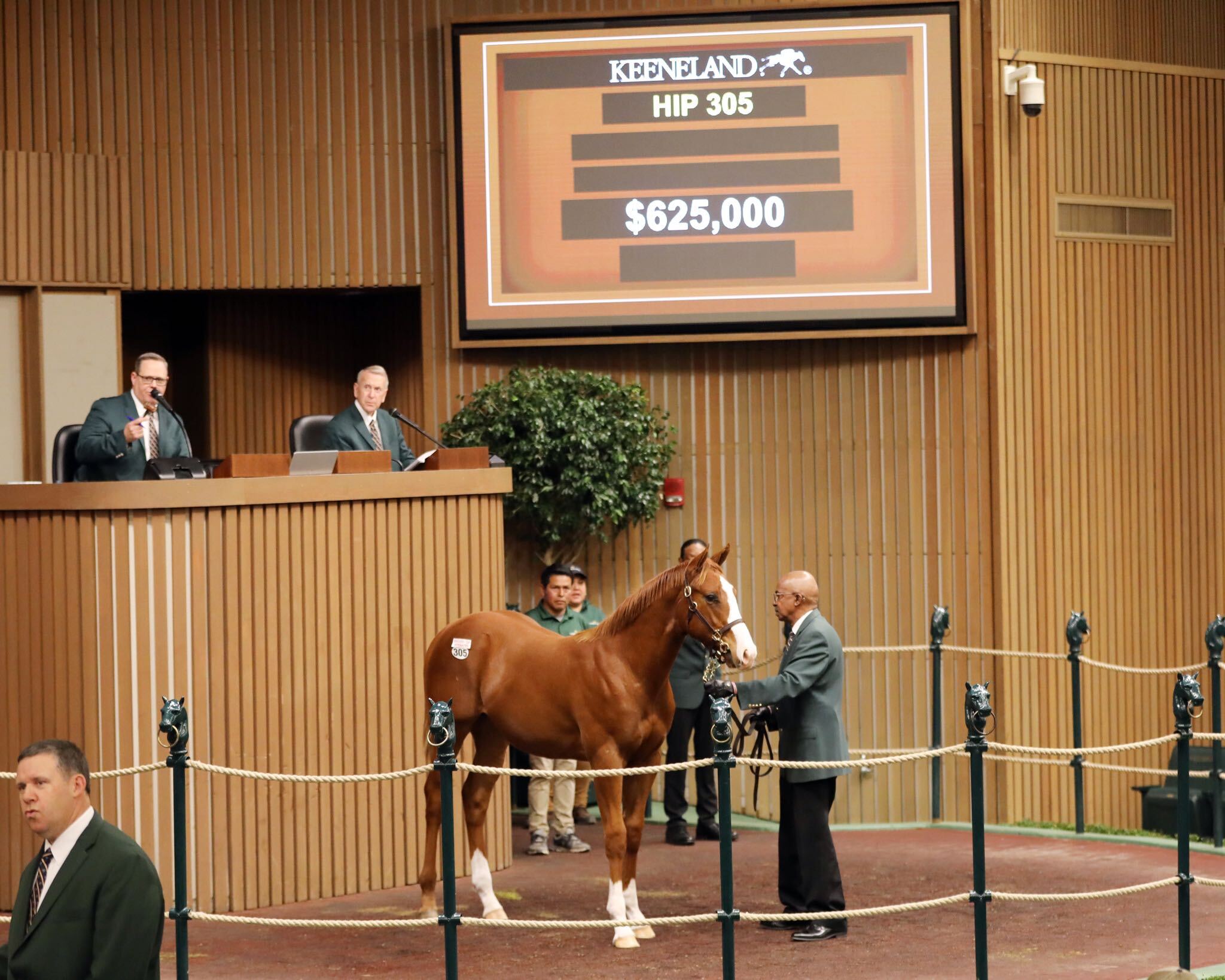 Justify weanling