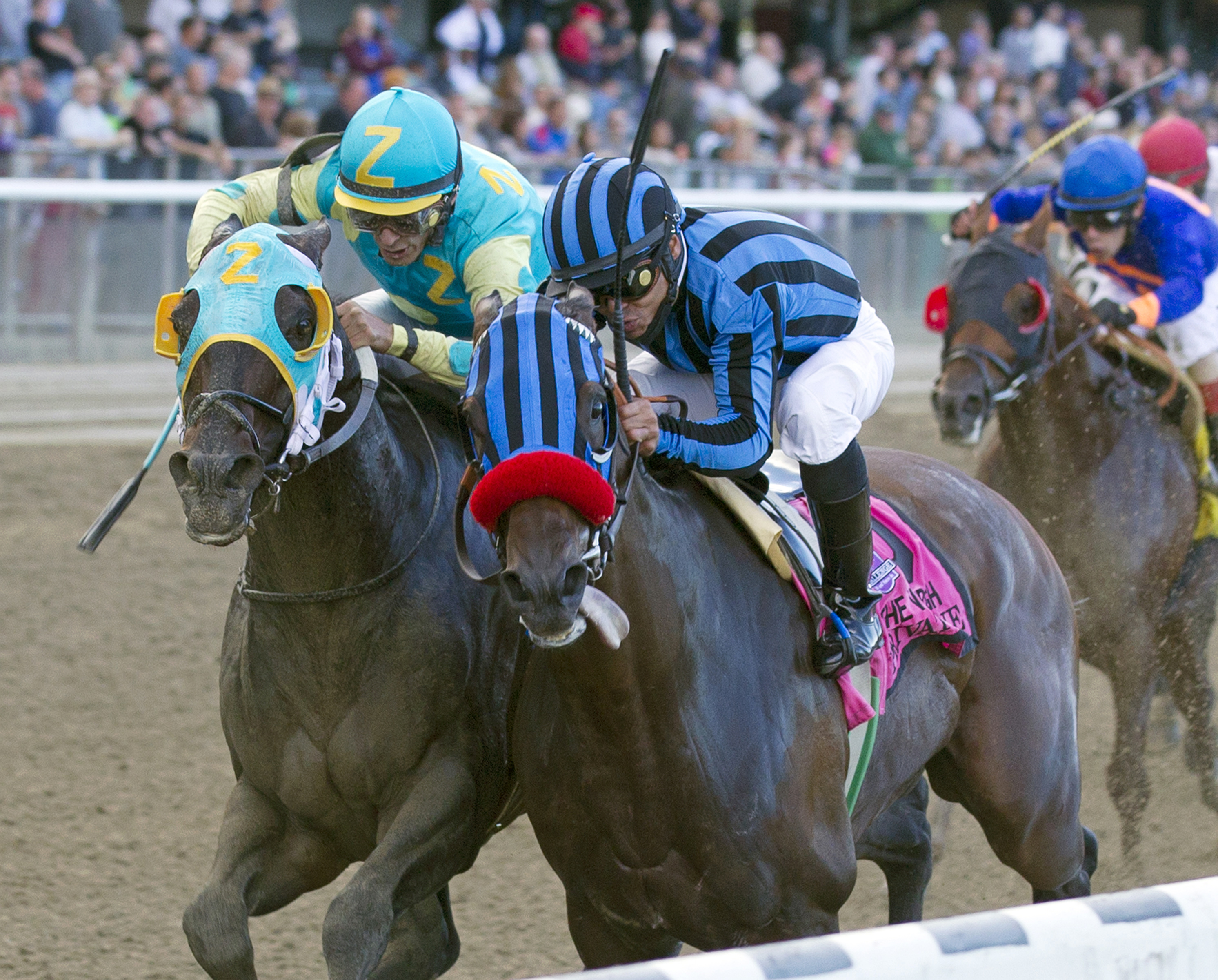 Private Zone wins the 2013 Vosburgh