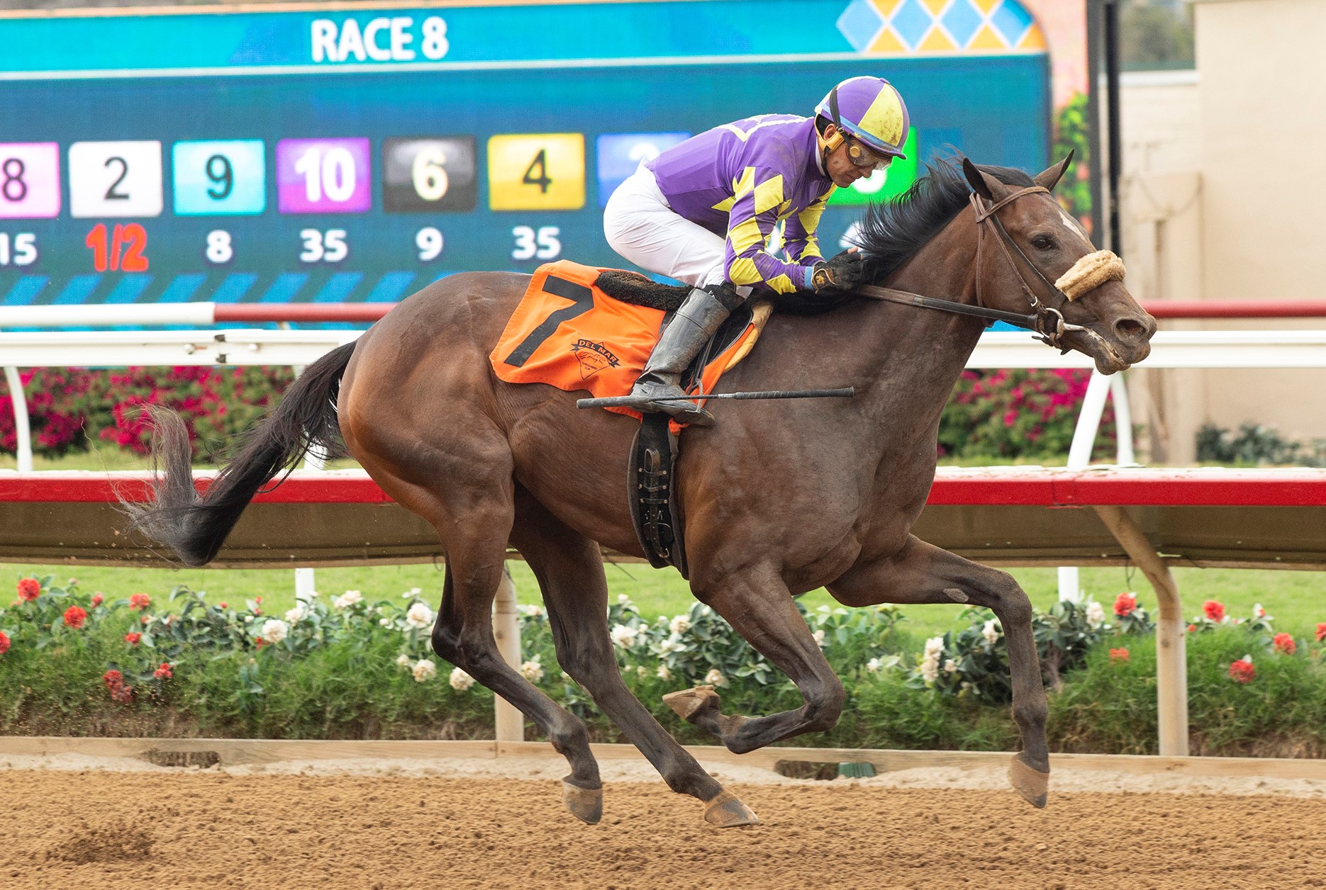 Justique wins debut at Del Mar July 31 2022