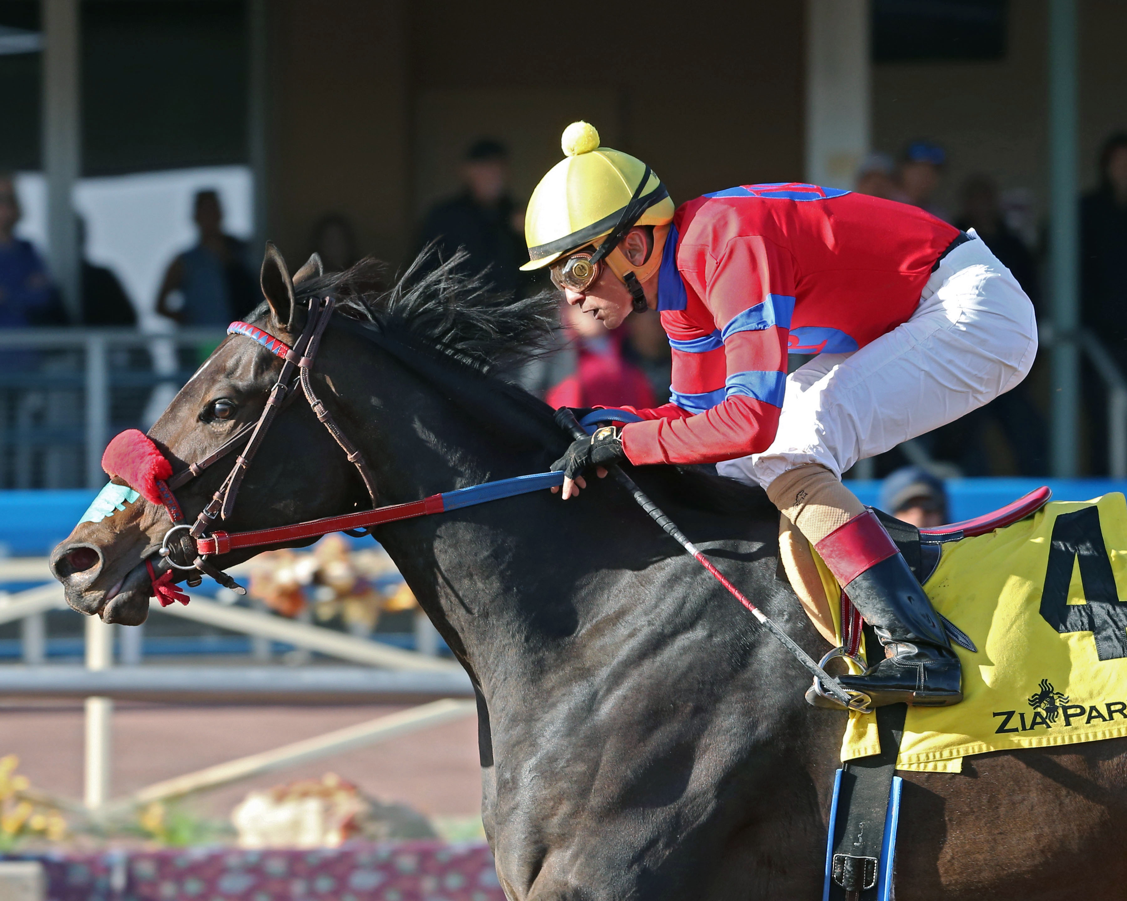 K P Wildcat wins the 2017 Zia Park Distaff