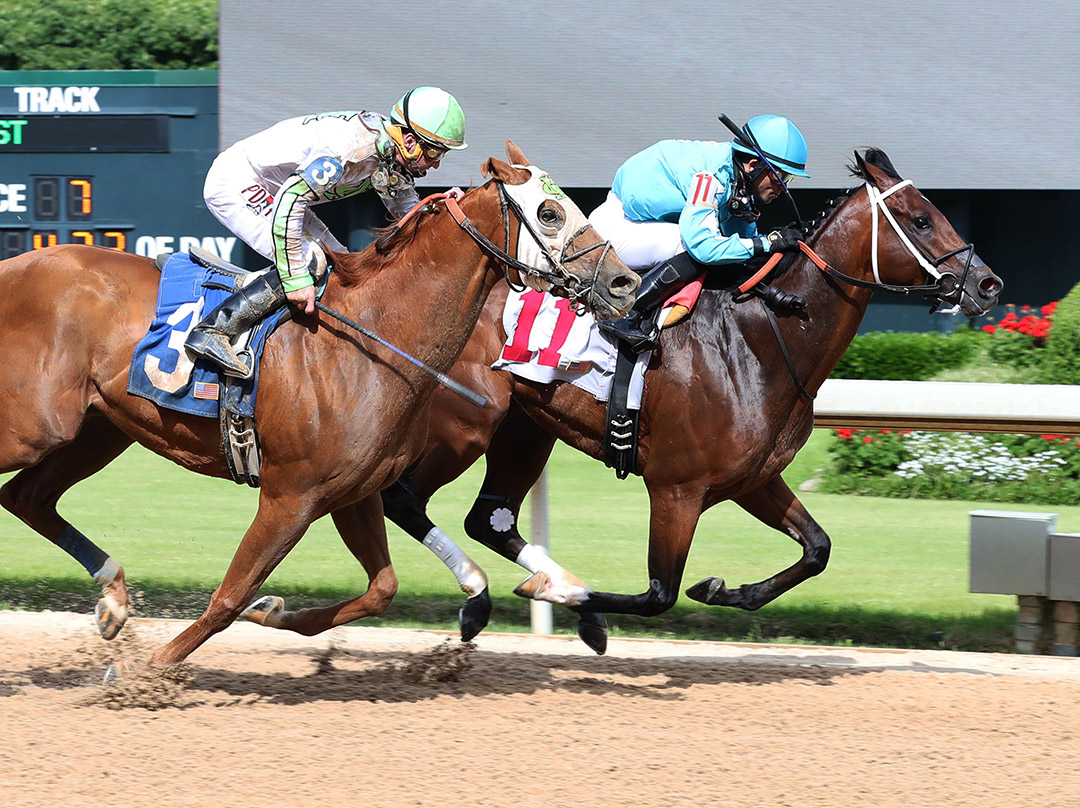 K J's Nobility finishes second in the 2020 Arkansas Breeders' Championship at Oaklawn Park