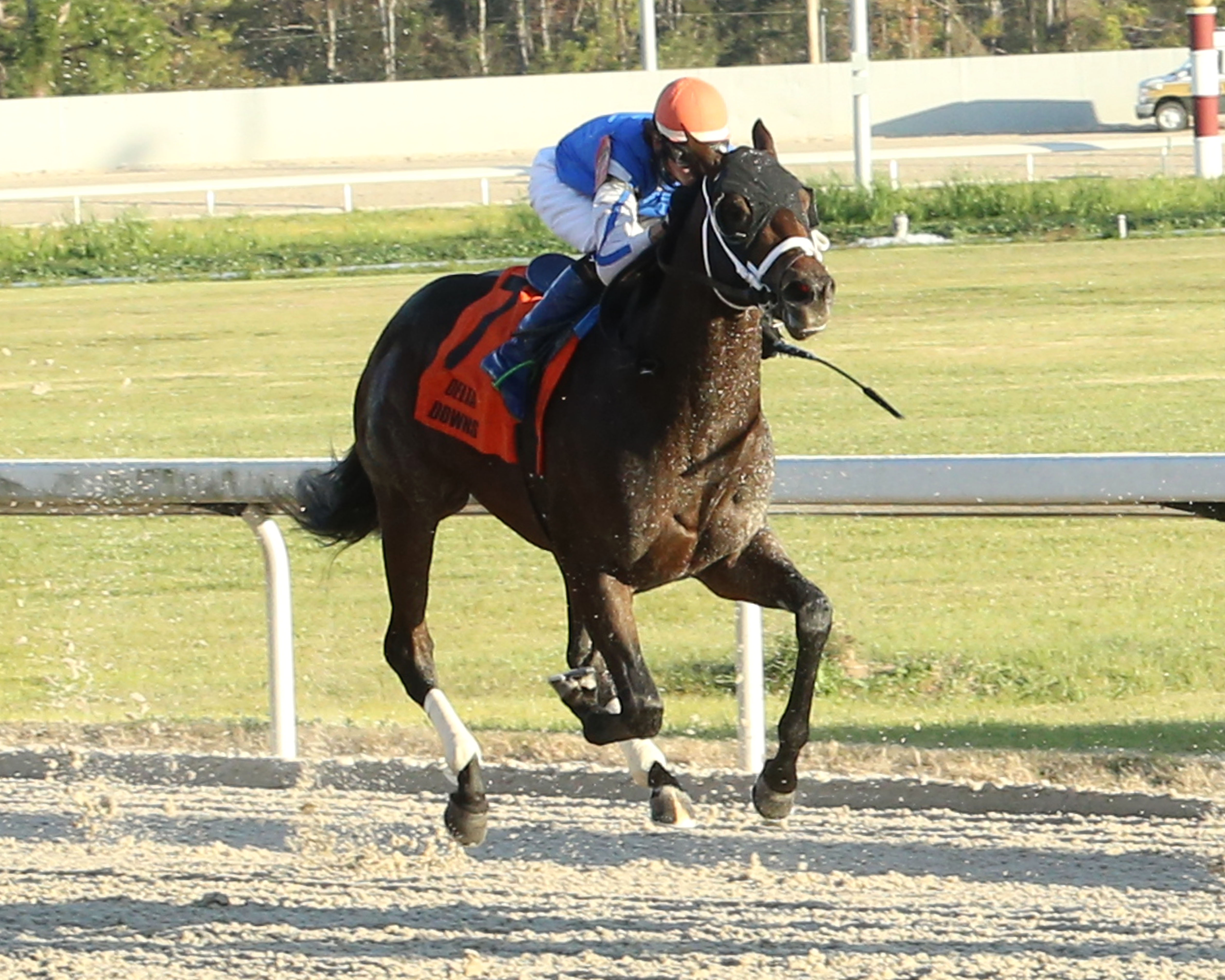Kaely's Brother wins Jean Lafitte 11-20-2021